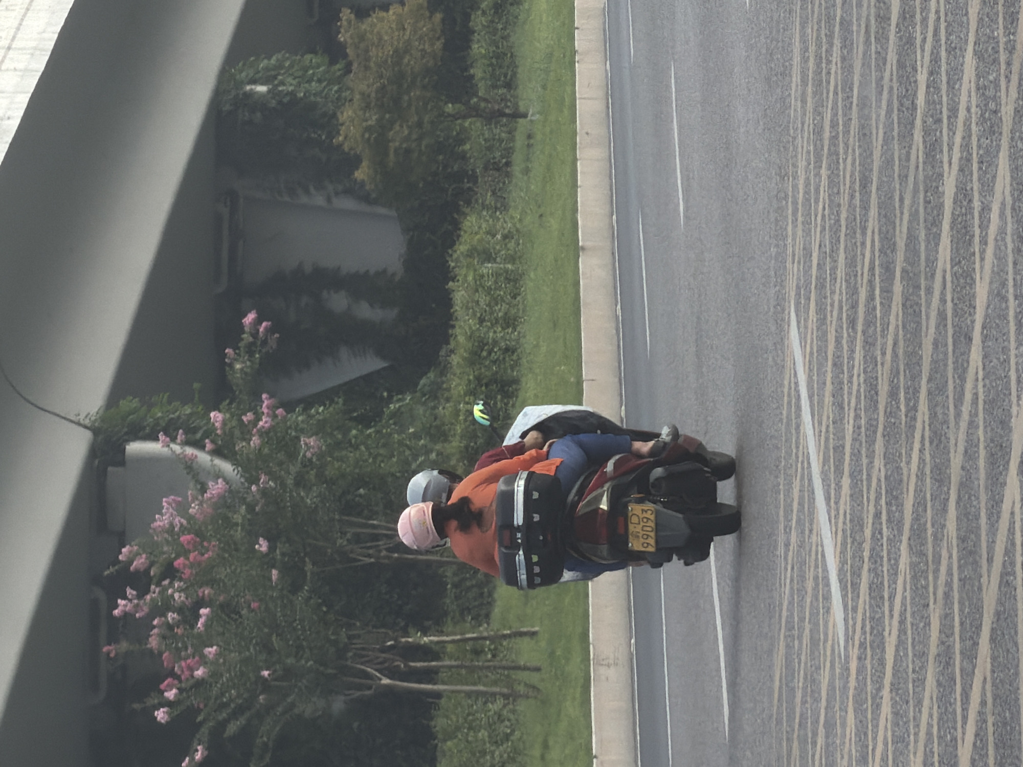Two individuals are riding a scooter on a road in Jiangjin, China. The scooter has a black storage box on the back. The front passenger is wearing a pink helmet and an orange top, while the rear passenger is wearing a grey helmet and a red top. They are riding on a paved road with white lane markings. In the background, there are trees, bushes, and a large concrete structure, likely an overpass or bridge. The scene appears to be outdoors, possibly in the daytime.