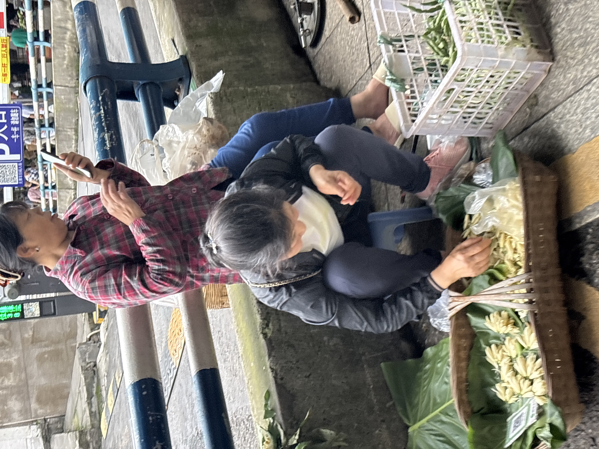 Two Asian women are sitting on the sidewalk in Jiangjin, China. One woman is wearing a red and black plaid shirt and blue pants, and she is holding a cell phone in her right hand. The other woman is wearing a black jacket, navy blue pants, and pink sneakers, and she is arranging flowers in a basket. A white plastic crate filled with green beans and other vegetables is to the right of the second woman. The sidewalk is made of gray stone, and there are gray and blue metal posts in the background. A sign in Chinese can be seen attached to one of the posts.