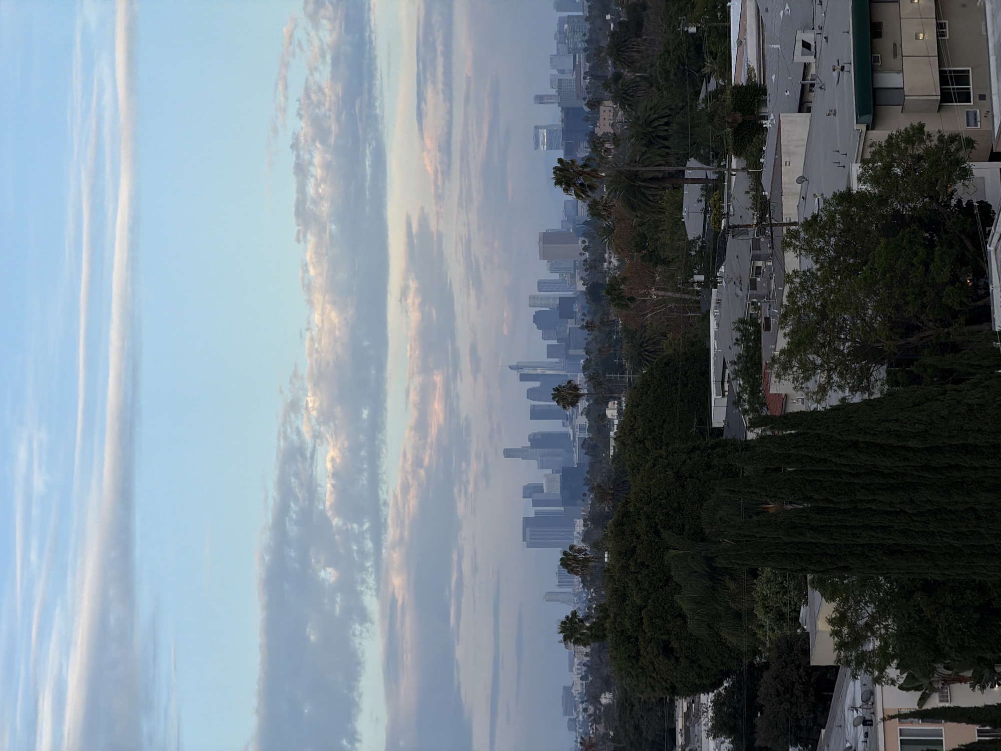 The image captures a panoramic view of the Los Angeles skyline, likely taken from an elevated position in West Hollywood, California. The scene is characterized by a soft, diffused light, suggesting either early morning or late afternoon. A vast expanse of the city's skyscrapers dominates the mid-ground, appearing somewhat hazy in the distance. In the foreground, lush green trees, including tall cypress trees and palm trees, create a dense natural barrier. Between the trees and the skyline, a neighborhood of low-rise buildings with flat roofs is visible. The sky above is a pale blue, streaked with delicate, wispy clouds, some tinged with pink and orange hues, indicative of twilight conditions. No people are discernible in the image. The overall impression is one of urban sprawl juxtaposed with pockets of abundant greenery under a serene sky.