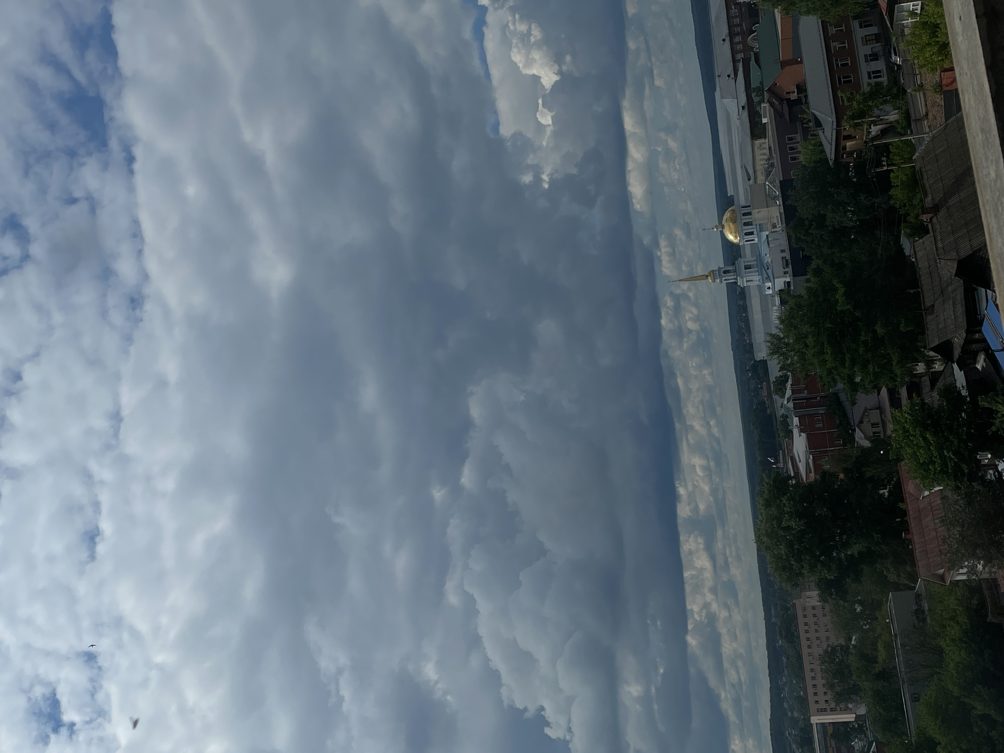 This media file captures a wide, panoramic landscape view of a town or city, likely Votkinsk, Russia, set against a dramatic sky. The image appears to have been taken in portrait orientation and should be viewed rotated 90 degrees clockwise to properly depict the scene as a landscape.
The upper half to two-thirds of the scene is dominated by a vast sky filled with diverse cloud formations. These range from bright white and light grey cumulus clouds to darker, heavier grey masses, suggesting an overcast or partly cloudy day. Patches of clear blue sky are visible in various areas, notably in the upper left quadrant where two small, dark birds are captured mid-flight.
A wide body of water, possibly a river or lake, stretches horizontally across the mid-ground, separating the distant horizon from the foreground settlement. The water appears calm, subtly reflecting the muted light from the sky.
In the foreground and mid-ground, a collection of buildings is nestled among abundant green trees. The most striking structure is a prominent white building, resembling a church or cathedral, featuring a large, gleaming golden dome and a slender golden-tipped spire that rises distinctly above the surrounding landscape. This building is located slightly to the right of the image center. Various other buildings, some residential with reddish-brown roofs and others multi-story, are visible throughout the town area, intermingled with dense green foliage.
The time of day appears to be daytime, with diffuse lighting characteristic of an overcast sky. There are no specific activities or events taking place, and no discernible human figures or explicit emotions are visible. No legible text is visible in the image.