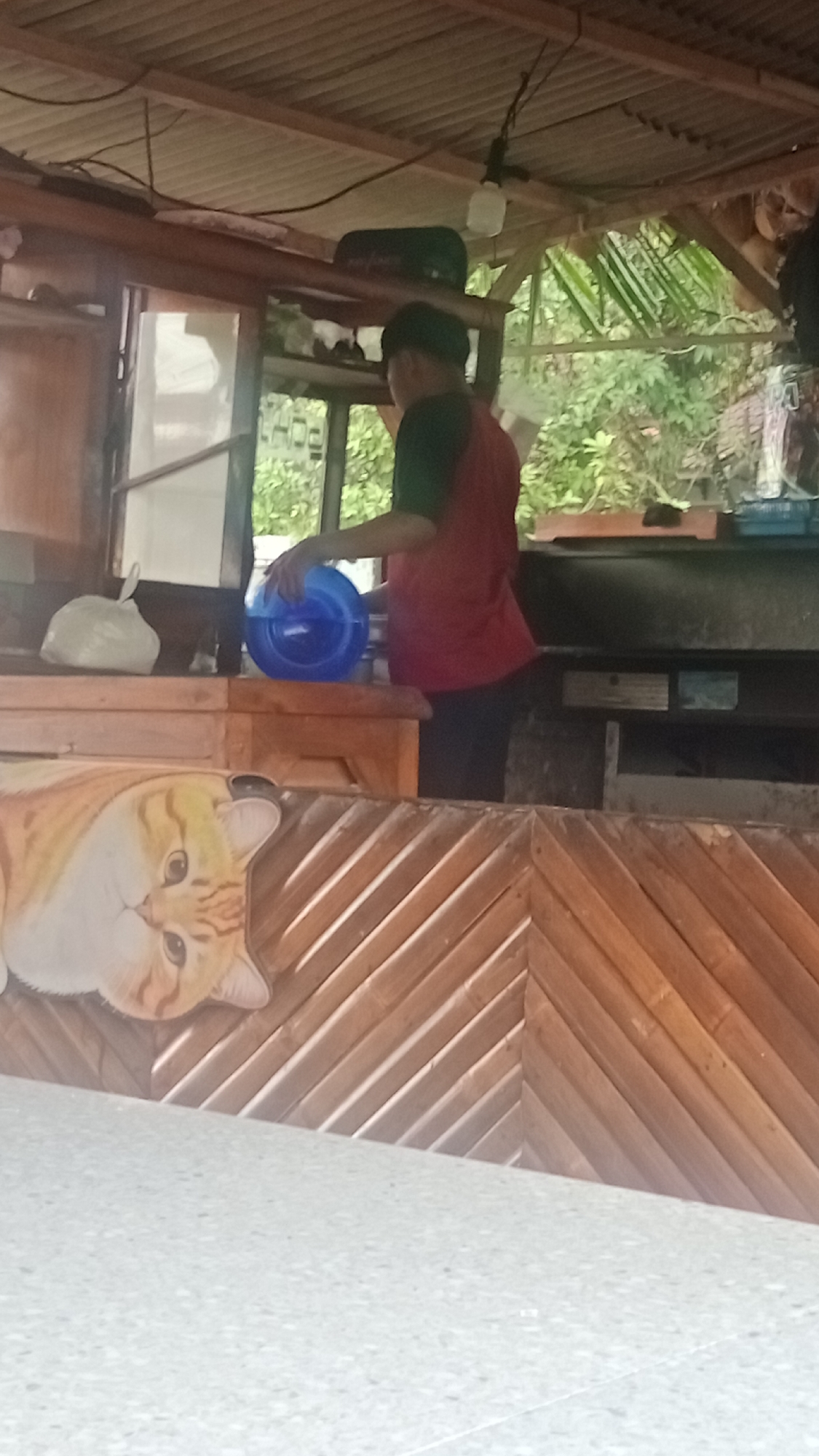 A person wearing a red shirt with green sleeves is standing behind a counter, holding a blue plastic container. They appear to be in an outdoor food stall, possibly in Cibeber, Indonesia, with a corrugated metal roof and wooden walls. A large graphic of a cat's face is visible on the wooden counter in the foreground. The environment appears to be somewhat cluttered, with various items on shelves and in the background.