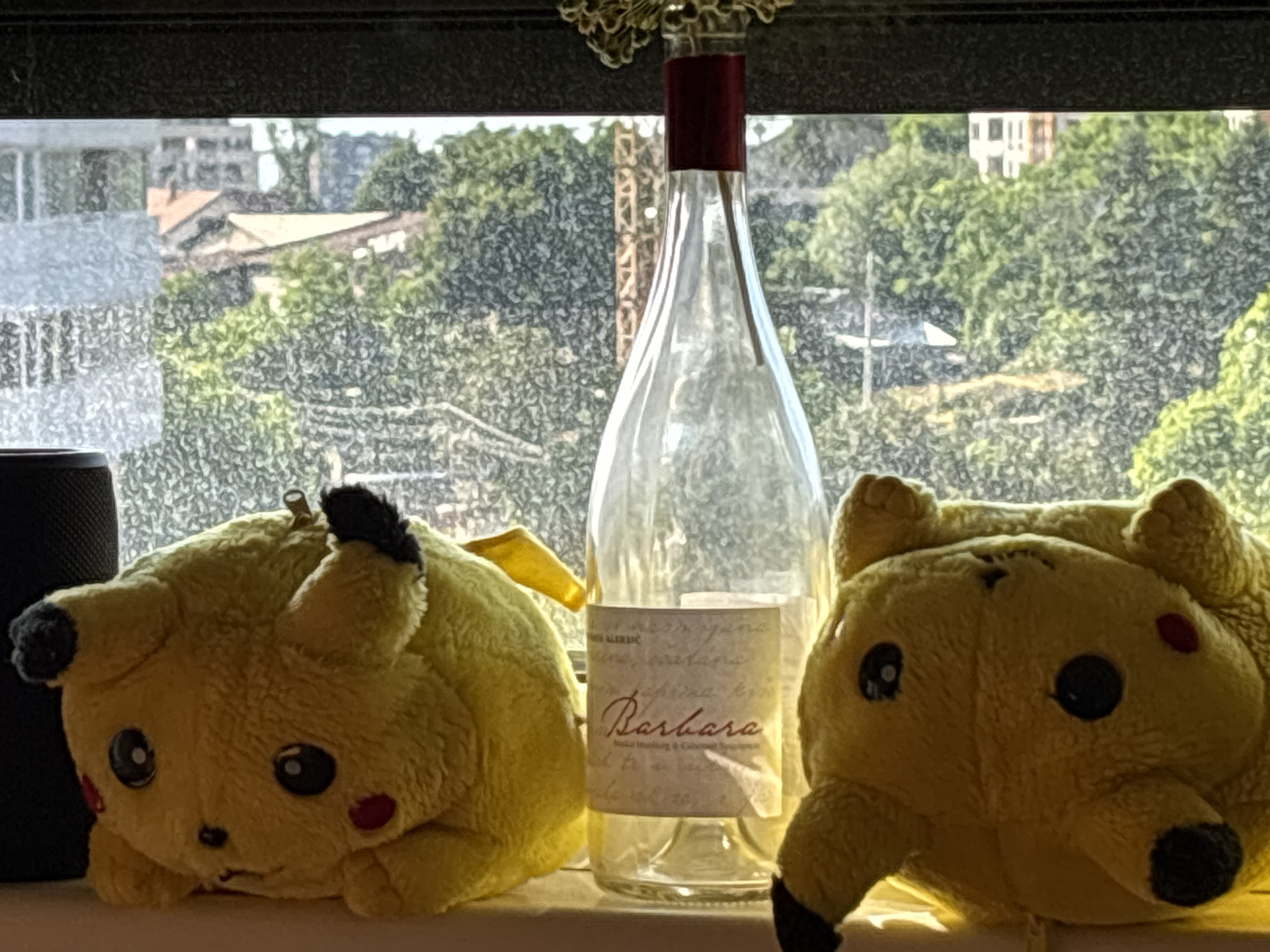 Two soft, yellow plush toys, resembling Pikachu characters from Pokémon, are positioned on a light-colored ledge in the foreground. The plush on the left faces forward with visible black eyes, red cheeks, and black-tipped ears. The plush on the right is partially obscured and slightly out of focus, also showing black eyes and red spots.
Centered between the two toys is an empty clear glass wine bottle, topped with a dark red foil cap. Its label, light in color, prominently features the script word "Barbara." Faint, possibly handwritten text is visible above "Barbara," potentially including "ALEXIC," and further illegible text below, with hints of "Cabernet Sauvignon."
Behind the bottle and toys, an outdoor scene is visible through a window. The view, appearing slightly blurred and textured, displays a dense canopy of green trees and several residential buildings with distinct tiled roofs and lighter-colored facades, characteristic of an urban or suburban environment. Some utility poles or structures are also faintly visible amidst the foliage.
The scene is brightly illuminated by natural daylight, suggesting clear weather, possibly late morning or afternoon. The overall impression is a domestic interior looking out onto a residential area. No specific activity is taking place; it's a static arrangement. Based on the provided context, the location of this view is within Zvezdara Urban Municipality, Serbia.