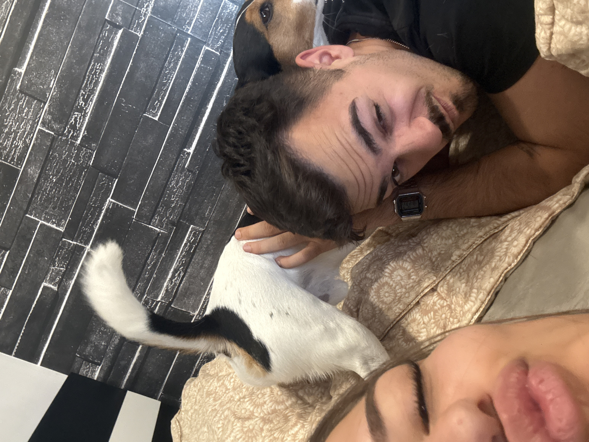 The image depicts a close-up, angled shot of a young man and a dog, with the head of a woman visible in the foreground. The man is lying down, his right arm under his head, and his left arm is partially visible as he pets the dog. He is wearing a black shirt and a watch on his left wrist. A small, tri-colored dog with black, white, and brown markings is positioned between the man and the woman, its head resting on the man's arm. The dog's tail, predominantly white with black and brown markings, curves upwards. The woman is in the lower left of the frame, her face partially visible, with her eyes closed and lips pursed. They are lying on a textured, beige surface, possibly a bed or couch. The background features a dark, textured wall that resembles dark brick or stone. A section of a black and white striped pattern is visible on the far left. The overall scene suggests a casual, intimate moment shared between the individuals and the dog. There is no visible indication of the city of Sofia, Bulgaria.
