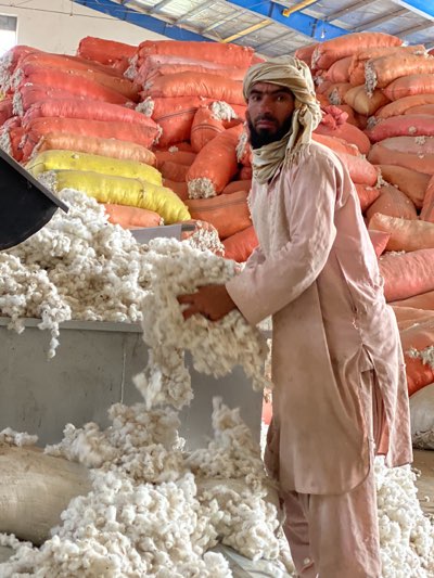 In Shurandam, Afghanistan, a man wearing a light pink traditional outfit and a head covering stands amidst a large quantity of raw cotton. He is handling the cotton, which is piled high in front of him. Behind him is a stack of large sacks, mostly orange with some yellow ones visible. The setting appears to be an indoor warehouse or processing facility with a visible roof structure.