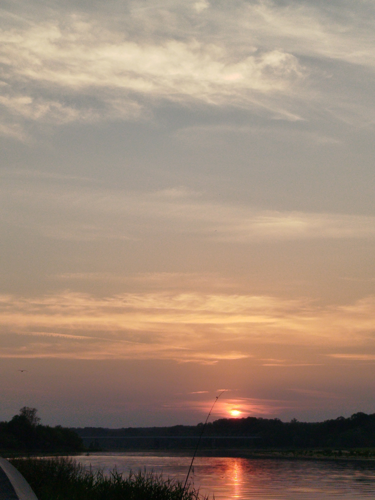 This is a photograph of a sunset over a body of water, likely a river, at dusk. The sky is filled with soft, muted colors of orange, pink, and grey, with wispy clouds stretching across. In the foreground, tall grasses and reeds line the bank of the water. A fishing rod is propped up on the bank, extending into the frame. The water reflects the warm hues of the sunset, creating a shimmering effect. Across the water, a silhouetted treeline marks the opposite shore. The overall atmosphere is serene and peaceful, characteristic of a quiet evening in a natural setting. This scene is located in or near Topolina, Poland.