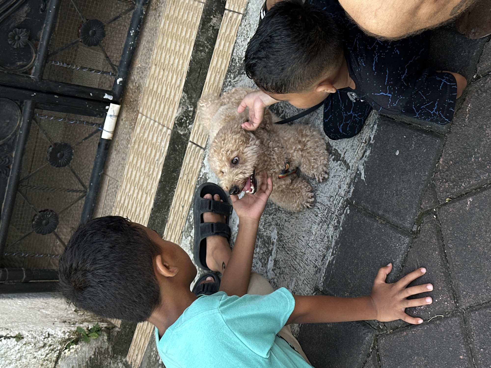 Two boys interact with a small, tan-colored dog outdoors. One boy wears a turquoise t-shirt and black sandals, while the other boy is clad in a dark, patterned shirt. The dog lies on the pavement between them, seeming to engage with both children. A dark metal gate is visible on the left side of the image. The image was taken in North Kuta, Indonesia.