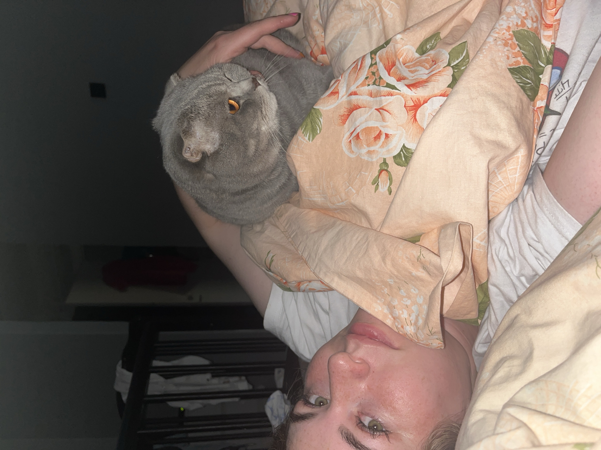 A low-angle, rotated indoor shot shows a person lying in bed with a gray Scottish Fold cat. The person's face, with light skin, green eyes, and dark eyebrows, is visible in the lower part of the frame. They are partially covered by peach-colored bedding with a floral pattern. The cat is resting in the person's arm, with its head and body facing upward in the frame. A small portion of the person's arm and hand with pink nail polish are also visible. In the background, there is a dark wall and a blurred shelving unit. There are no visible signs pointing to Chaikovsky, Russia.