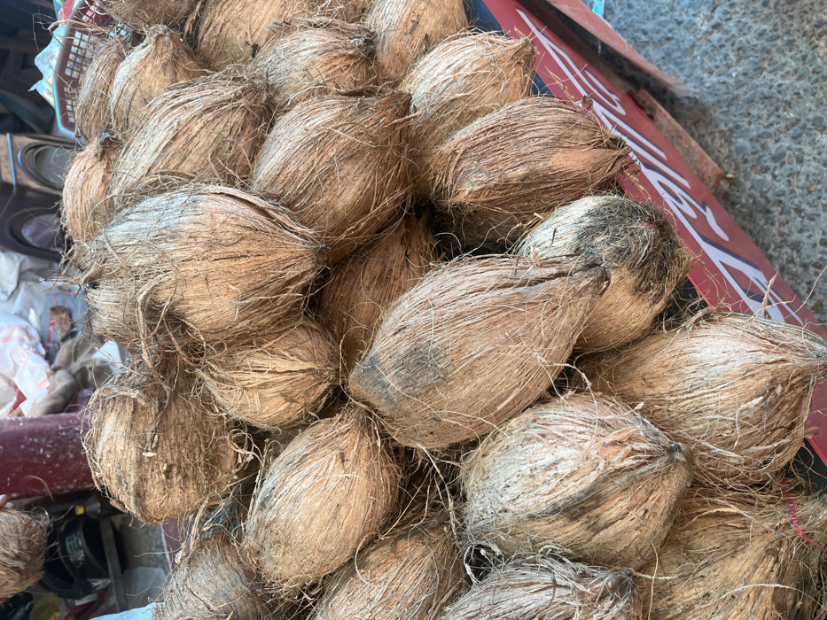 The image shows a pile of coconuts stacked on a red and blue cart. The coconuts are brown and hairy, and they are arranged in a haphazard manner. The coconuts are located in Panchkula, India, near the coordinates (latitude: 30.725, longitude: 76.86). The cart is located on a paved surface. The background is out of focus and appears to be a busy street.  The coconuts are likely for sale.  The cart is in a slightly tilted position.  The environment appears to be outdoors.
