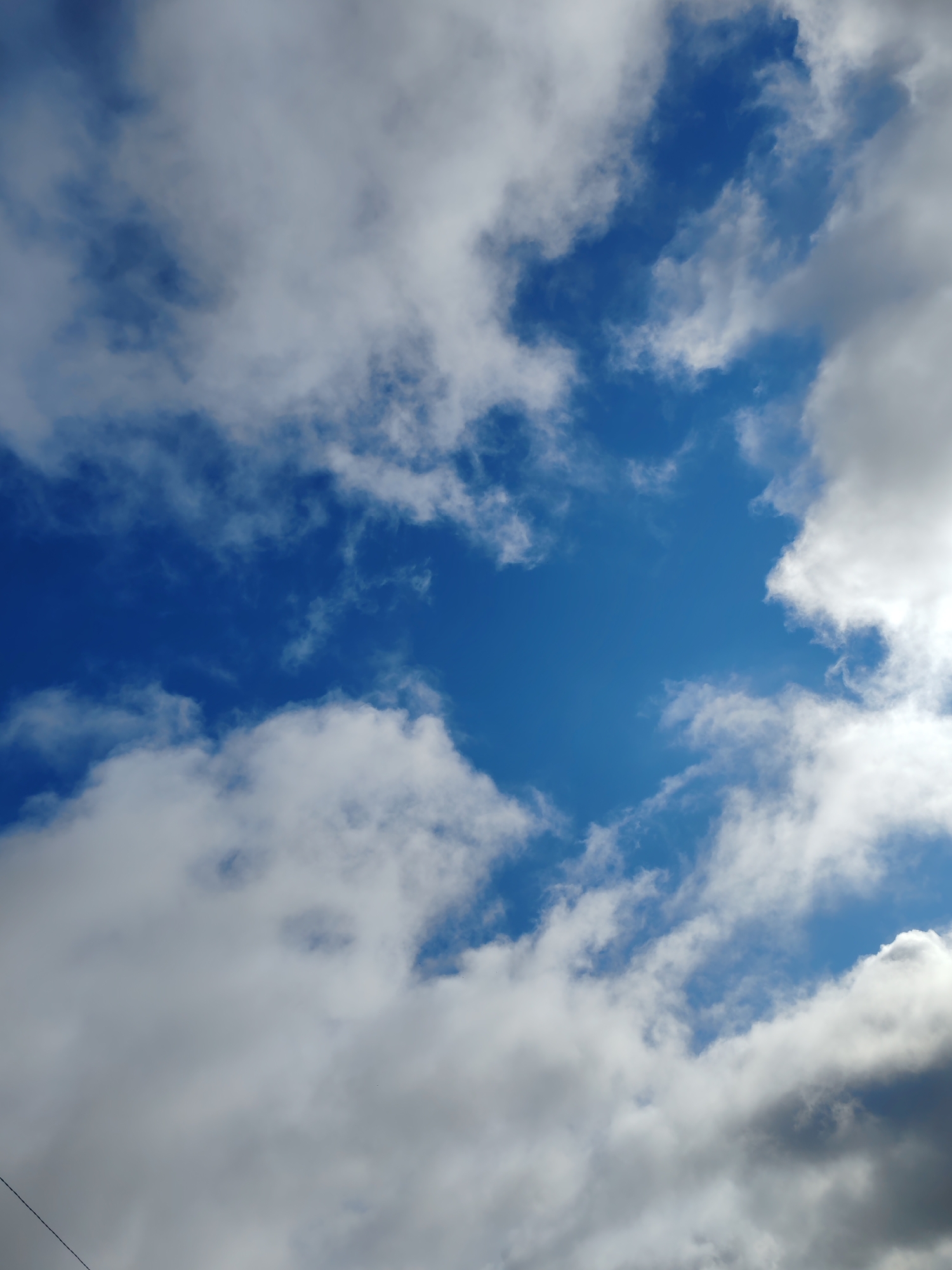 The image is a close-up, eye-level shot of a bright blue sky filled with various types of clouds. The clouds are predominantly white and fluffy, with some appearing wispy and translucent, while others are denser and cast soft shadows. There is a noticeable contrast between the bright white of the sunlit clouds and the darker gray of the shadowed ones. The scene appears to be an outdoor environment, likely taken from a ground-level perspective looking upwards. There are no people or man-made objects clearly visible in the frame, except for a faint, thin dark line that could be a wire or a distant object at the very bottom edge of the image. The overall impression is a dynamic and atmospheric sky, typical of a partly cloudy day. This image is not possible to geolocate to a specific city like Чухлэм, Russia based solely on the visual information provided.