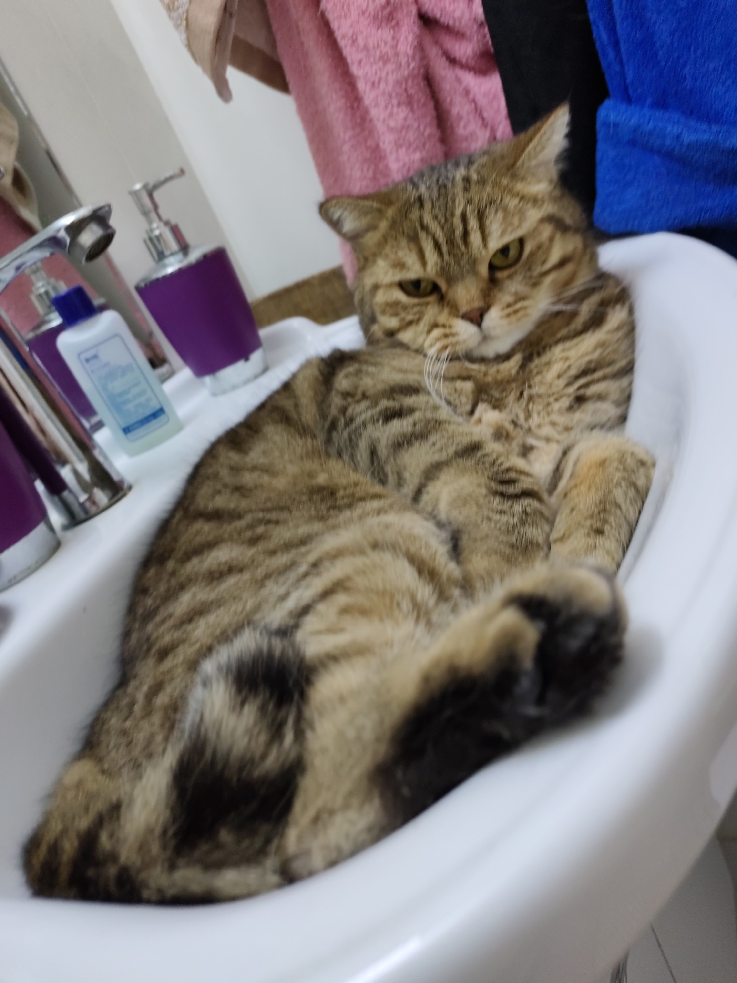 A tabby cat with brown and black stripes is lying in a white sink. The cat's eyes are partially closed, and it appears to be resting or napping. The sink is in a bathroom, as indicated by the presence of a faucet, soap dispensers, and a bottle of lotion. There are also towels hanging in the background. The scene is illuminated by artificial light. The image does not provide any information about the city of Komsomolsk-on-Amur, Russia, or any people.