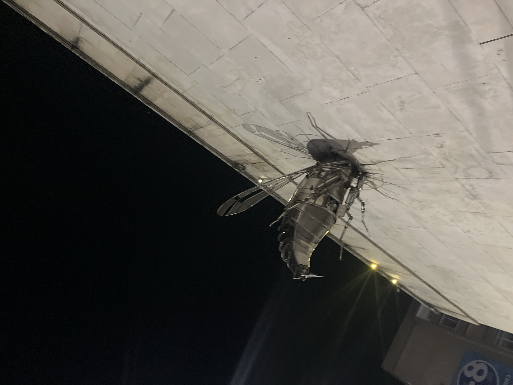A low-angle, medium shot captures a large, metallic sculpture of a dragonfly mounted on a light-colored, stone-tiled building wall at night. The sculpture is detailed, featuring a segmented body, multiple legs extending outwards, and large, transparent wings. The dragonfly's head points to the left, and its body extends to the right, appearing to be attached to the wall. Shadows of the dragonfly are cast on the wall below it. Two small, yellow lights are visible on the wall near the top edge of the frame, and a portion of another building with a blue sign containing the number "8" is visible on the left side of the image. The sky above is dark and clear, indicating nighttime.