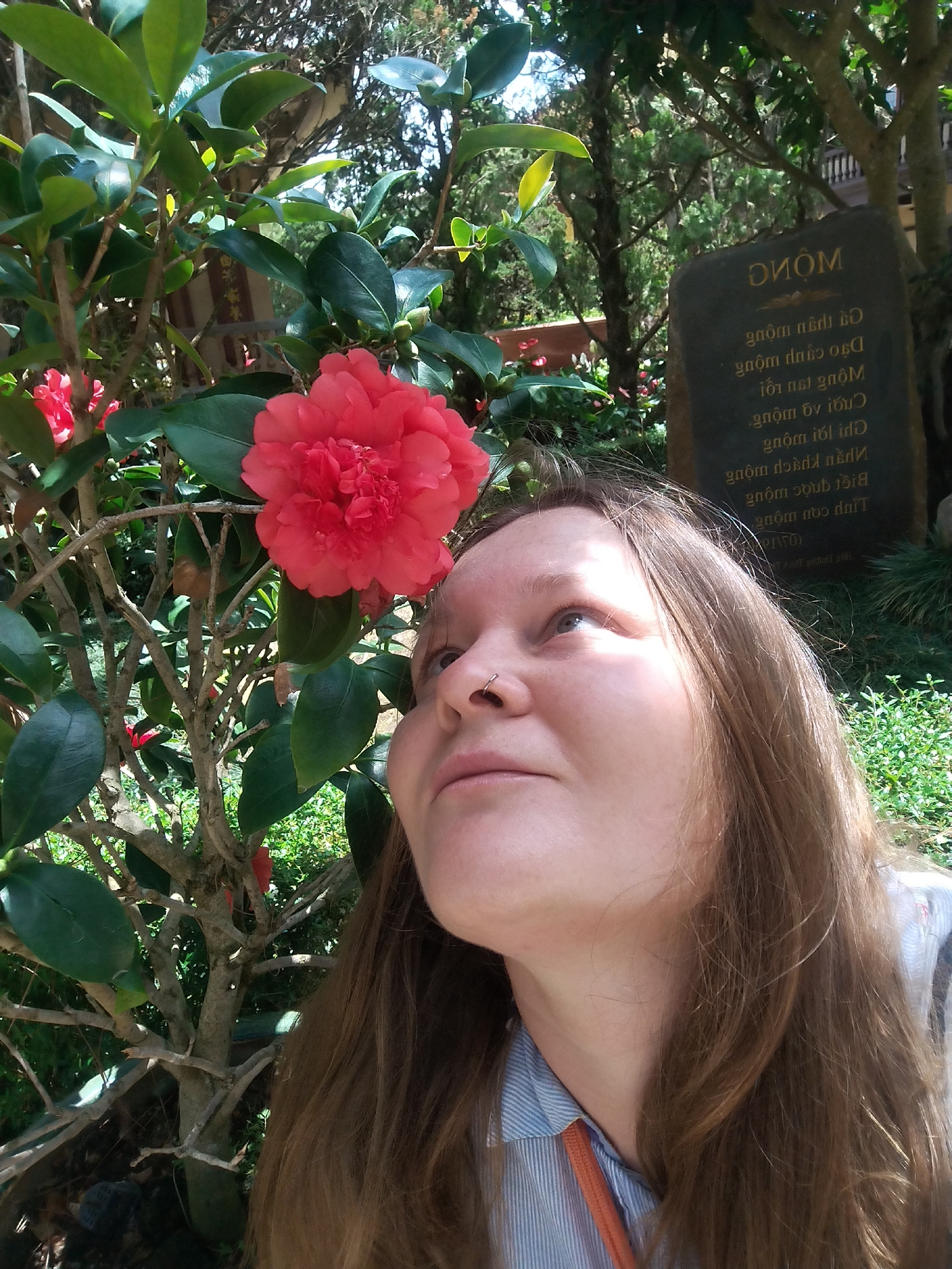 A light-skinned woman with long brown hair and a nose ring looks upward at a vibrant red camellia flower on a shrub. The scene appears to be outdoors in a garden-like setting. Behind the woman and the flower, a stone monument or plaque is visible, with text in a non-English script, possibly Vietnamese. Further back, trees and greenery suggest a park or natural environment. The woman is wearing a light blue striped shirt with an orange strap. The photo is taken from a low angle, emphasizing the upward gaze and the flower. It is likely in or near the city of Da Lat in Vietnam, given the text on the plaque and the typical flora of that region.