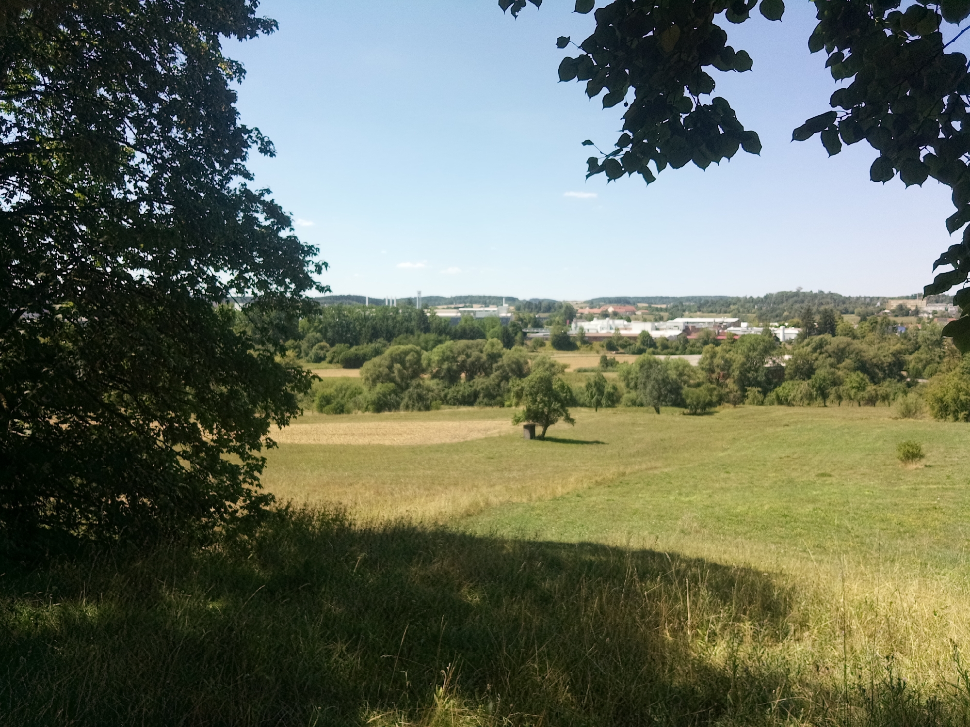 The image depicts a rural landscape on a clear day. In the foreground, a large tree with dark green foliage partially obscures the left side of the frame, casting a shadow on the sunlit grass below. The middle ground features a gently rolling field with sections of golden-yellow stubble and vibrant green grass. A solitary tree stands in the center of this field, with a small, dark structure, possibly a shed or shelter, beneath its branches. Beyond this field, a line of diverse green trees and bushes stretches across the horizon, forming a natural barrier. In the distance, a town or city is visible, characterized by a collection of buildings, some with red roofs, interspersed with industrial structures that feature tall, white chimneys. The sky above is a clear, bright blue with a few wispy white clouds. The scene appears serene and undeveloped, with a clear division between natural vegetation and human settlement.