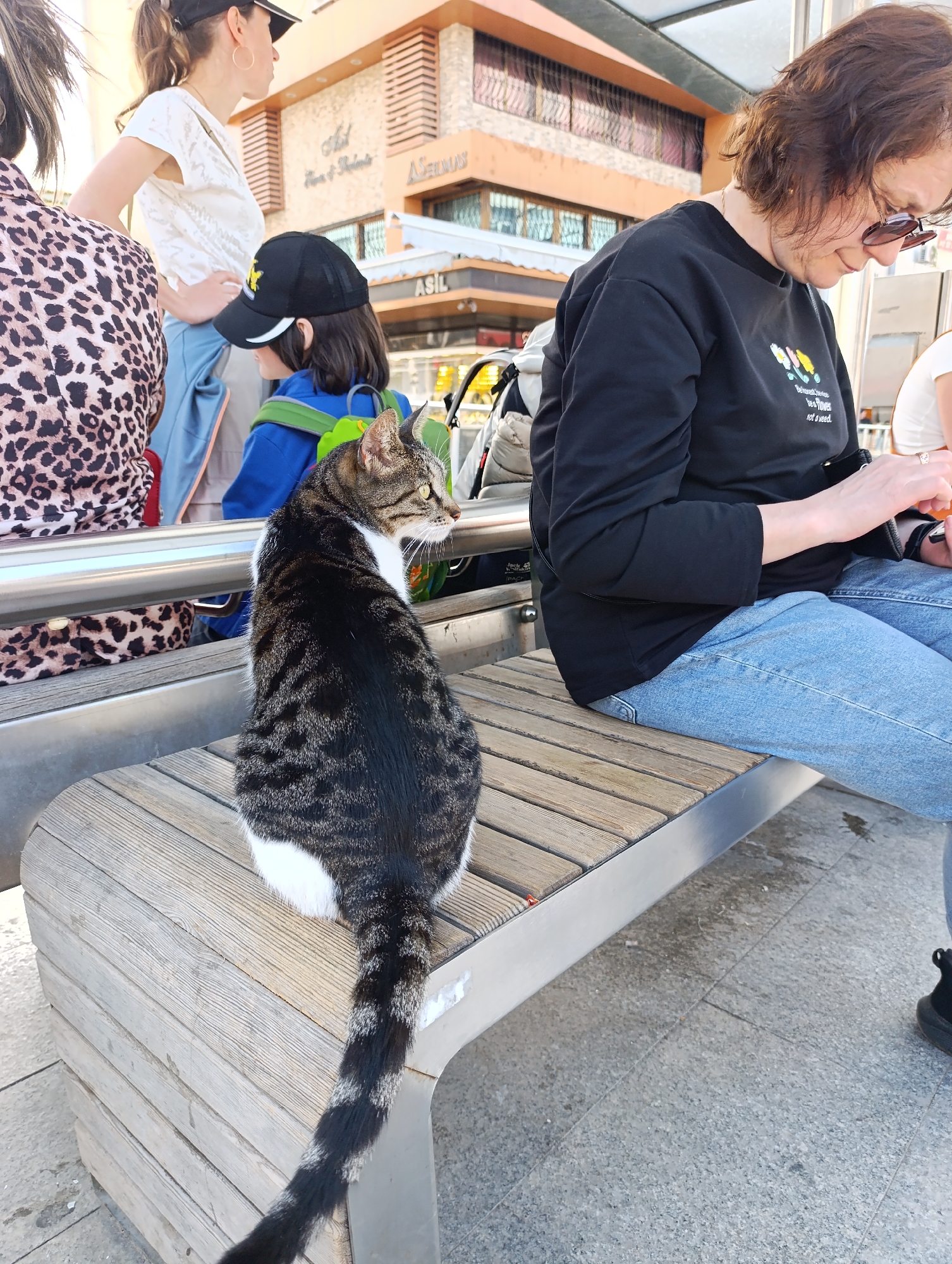 The image depicts a scene in Antalya, Turkey, specifically near the "Asil Turizm & Sedef Taş" business. A cat with a dark striped back and white chest and paws is seated on a wooden bench, looking to the left. A woman wearing a black long-sleeve shirt and blue jeans is seated next to the cat, looking down at an object in her hands. Behind the cat, there is a child with a backpack and black cap and other people including a woman wearing a leopard print sweater. The bench is made of wooden slats with a metal frame. The area is paved with grey stone.