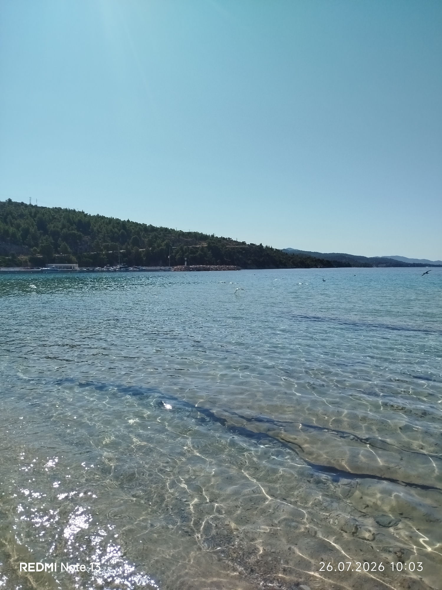 The image depicts a serene coastal scene in the Sithonia Municipal Unit, Greece. The foreground is dominated by shallow, crystal-clear turquoise water, revealing the sandy and rocky seabed beneath. Sunlight glints off the water's surface, creating shimmering patterns. In the middle ground, a calm bay is visible, with several white sailboats moored near a tree-lined shore. A few white seagulls are in flight over the water. The background features a lush green hillside covered in dense trees, rising gently towards a clear, pale blue sky. The sun is high in the sky, casting a bright light over the landscape. The bottom left corner displays the text "REDMI Note 13", and the bottom right corner shows the date "26.07.2026 10:03".