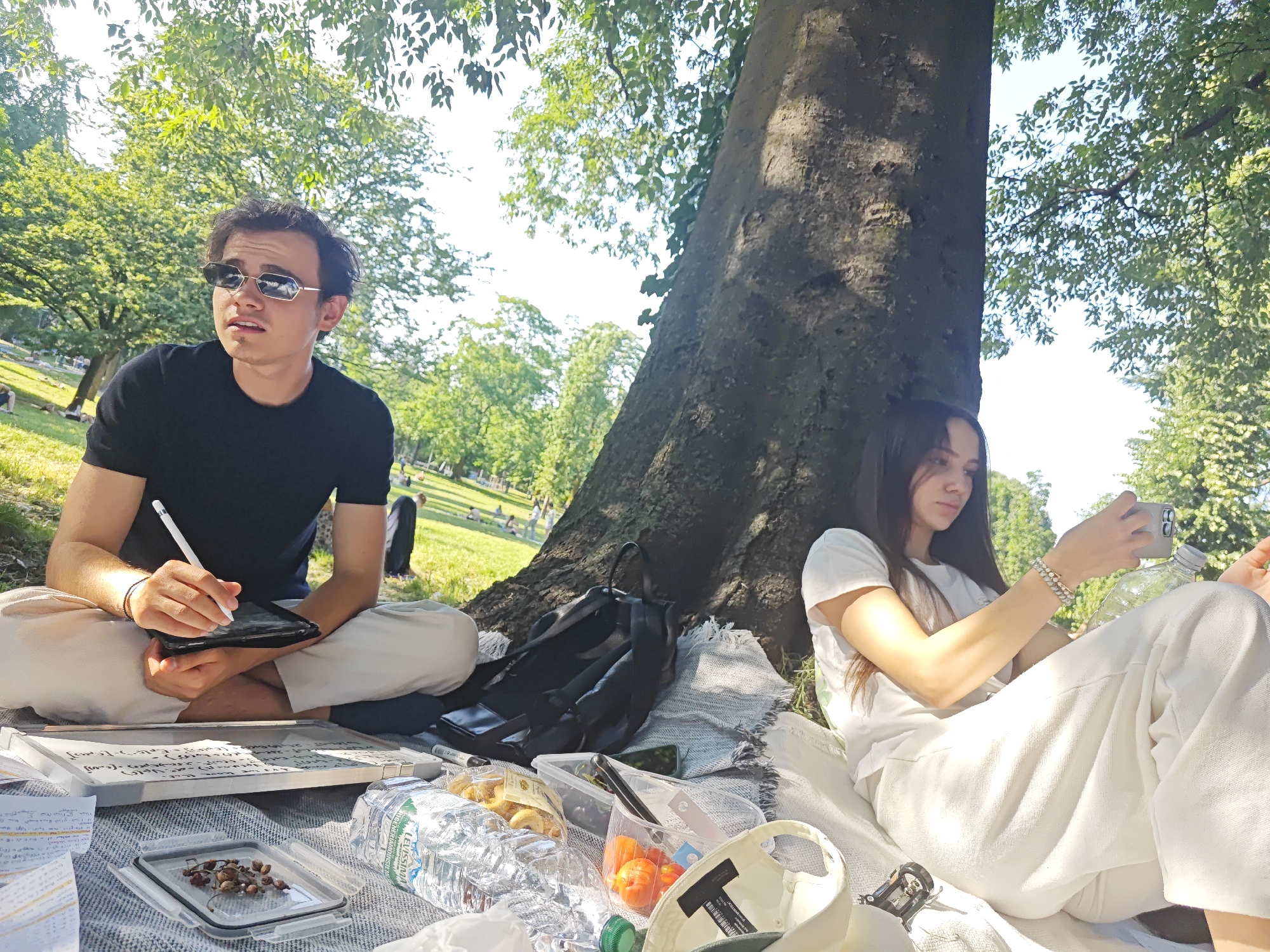 Two individuals, a male and a female, are situated at the base of a large tree in a park-like environment. The location is in Milan, Italy, evidenced by the "Levissima" brand water bottle, a popular Italian mineral water. The male, wearing a black t-shirt and light-colored pants, is seated cross-legged and holding a tablet with a stylus. He has dark hair and is wearing sunglasses. To his left is a whiteboard with writing on it. The female, wearing a white t-shirt and white pants, is also seated cross-legged, leaning against the tree trunk. She is holding a phone and appears to be taking a picture or video. A black backpack is placed behind her. Between the two individuals is a picnic blanket with various items, including water bottles, snacks, and containers. The environment includes a grassy area with other trees and people visible in the background. The scene is bathed in sunlight, suggesting a daytime setting.