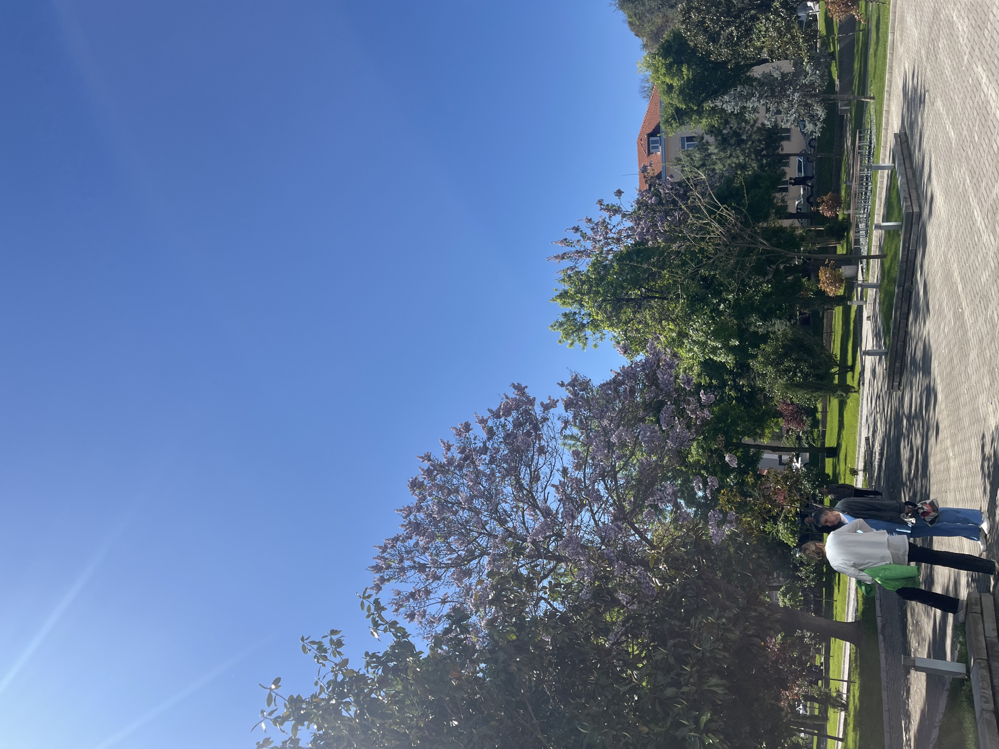 The image depicts a park scene in Plovdiv, Bulgaria, under a clear, bright blue sky. In the foreground, a flowering tree with lavender blossoms partially obscures the view. Two people are visible on a paved pathway. One individual is wearing a white shirt, black pants, and has a lime green garment draped over their left shoulder. The second person is wearing a blue shirt, jeans, and white sneakers. The perspective suggests they are walking along the path. Beyond the pathway is a grassy area with benches and trees. In the background, a building with a red-tiled roof and several stories is partially visible.