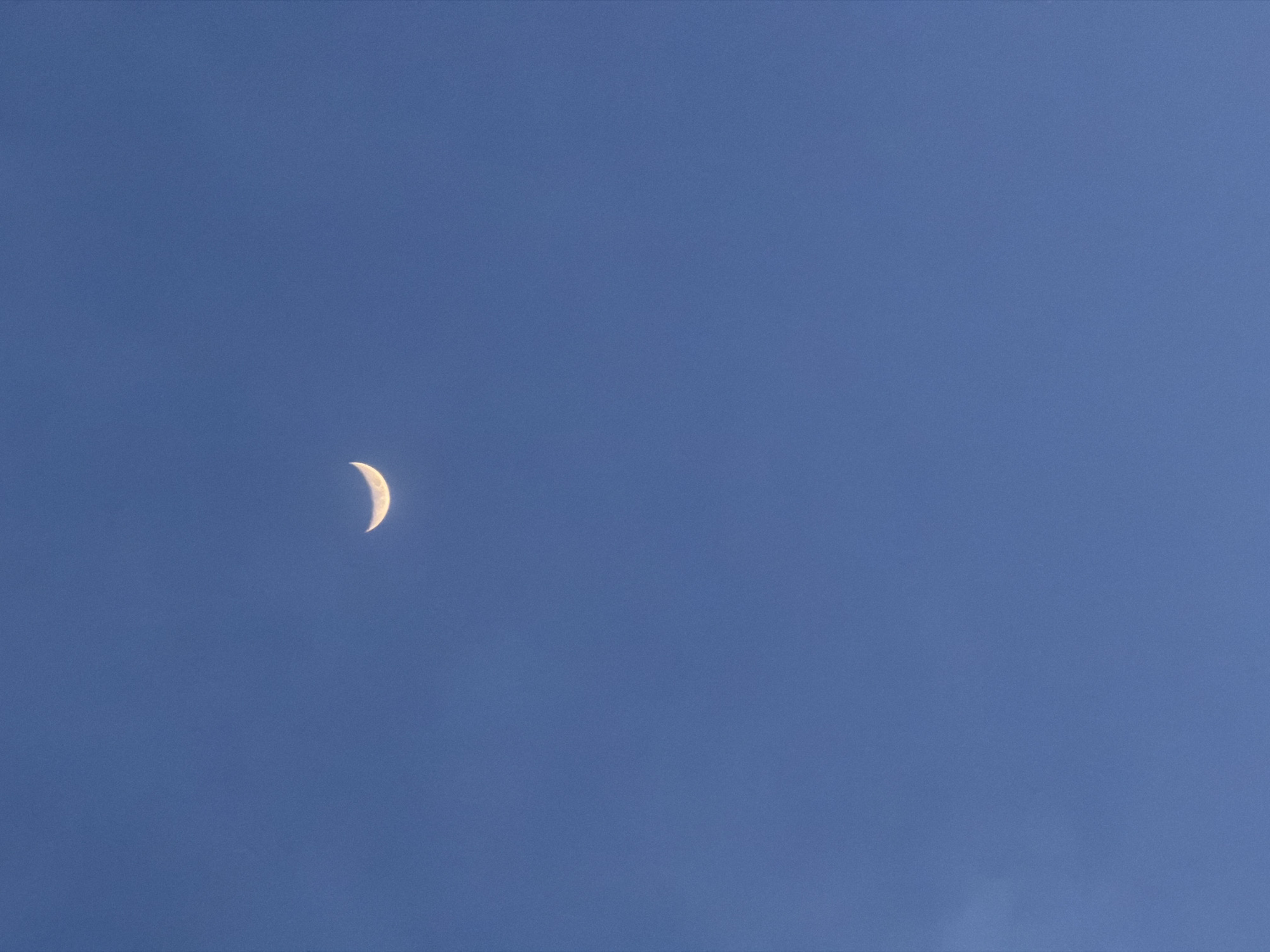 A crescent moon is visible in a clear, deep blue sky. The moon, illuminated on its left side, appears as a thin, bright sliver against the vast expanse of the sky. The image is dominated by the color blue, suggesting it was taken during daylight hours, possibly late afternoon or early morning, before the sky has fully darkened or after the sun has risen but is still low on the horizon. There are no other celestial bodies or objects visible in the frame, focusing all attention on the moon. The setting appears to be outdoors, with no visible man-made structures or natural elements to indicate a specific location beyond the sky itself. The overall mood is serene and expansive, with the small, delicate moon offering a point of interest in the otherwise uniform sky. There is no visible text in the image.