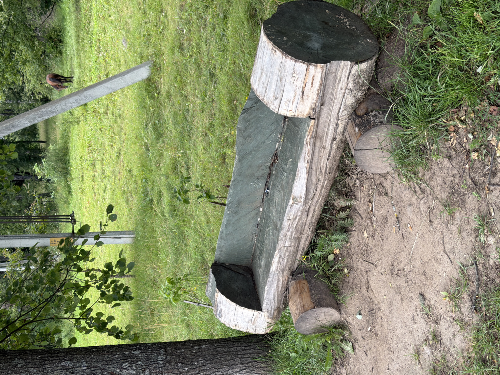 An outdoor scene in Бягомльскі сельскі Савет, Belarus, features a rustic bench carved from a large log. The bench has a hollowed-out seat lined with a dark green material. It rests on two smaller log sections for support, partially embedded in the sandy ground with surrounding grass. A large tree trunk is visible on the left, and a power pole stands in the background to the right of a concrete pole. A brown horse grazes in a grassy field behind the bench. The environment appears to be a rural or semi-rural area with trees and vegetation.
