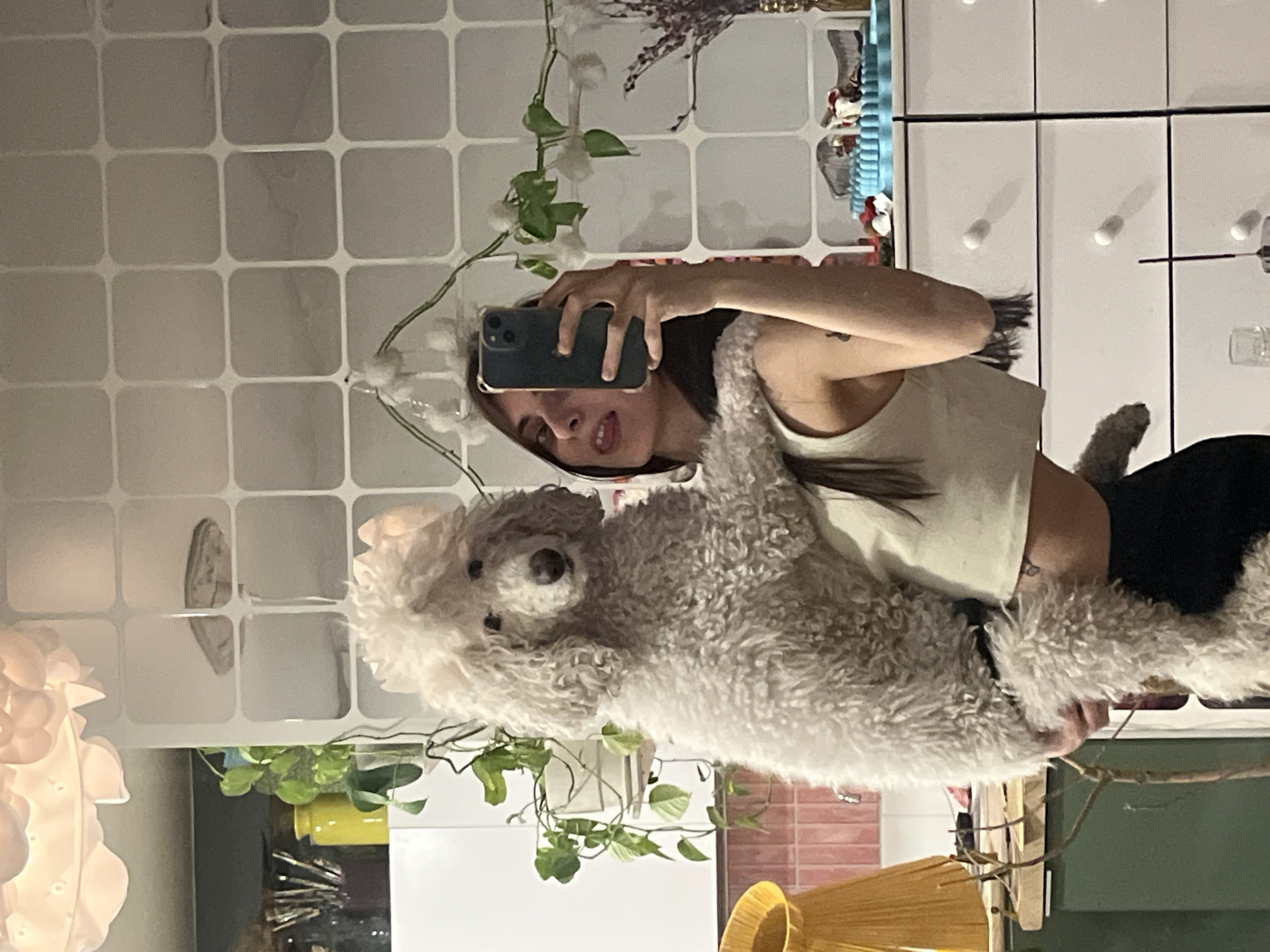 The image is a mirror selfie taken indoors, featuring a young woman holding a fluffy white dog. The scene is captured as a reflection, with the woman and dog positioned centrally.
The woman has long dark hair and is wearing a light-colored tank top or crop top and dark bottoms. She is holding a dark-colored smartphone with her right hand to take the picture, and her left arm supports the dog. Her face is visible, and she has a subtle, playful expression with her tongue slightly visible.
She is holding a small, white or light gray fluffy dog, resembling a poodle or bichon frise, which is looking towards the camera. The dog appears comfortable in her arms.
The background, visible in the mirror reflection, depicts an indoor setting, likely a home. To the left, there's a white tiled wall with rounded square patterns. Various green plants with ivy-like leaves and some small white flowers are visible, draped around the top and left side. Above the woman's head in the reflection, dried purple flowers or lavender are seen. White cabinets or cupboards are visible in the upper right background. Other decorative items, including a blue and silver object, and what appears to be a glass, are seen on shelves or surfaces behind her. A distinctive white, ornate light fixture or lamp is partially visible on the far left. In the bottom right corner, a yellow object, possibly a bowl or lamp shade, is present, along with a tree branch and a green wall or surface. Further back, a section of pink tiled wall can be discerned.
The lighting suggests an indoor setting, possibly during the evening or night, relying on artificial light sources. No visible text is present in the image.