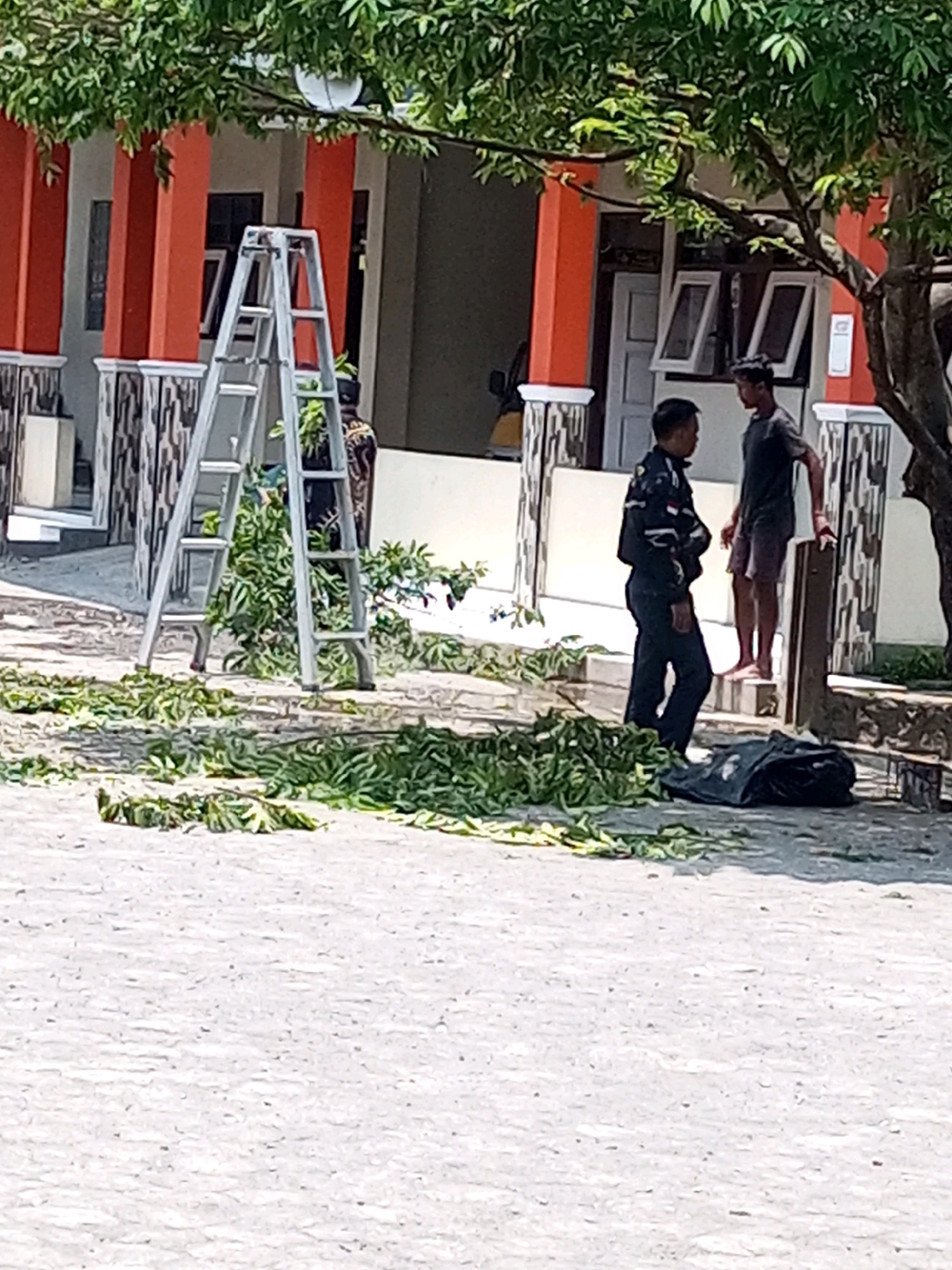 In Krasak, Indonesia, two individuals are present in front of a building with an orange facade and white pillars. A silver ladder is positioned on the left, leaning against the building. A pile of pruned leaves lies on the ground in front of the ladder and extends to the right. To the right of the ladder, a black trash bag is visible, partially covered by leaves. One person, wearing a dark jacket and pants, stands facing left. The second person, wearing a dark t-shirt and shorts, stands facing right. Trees with green foliage overhang the scene. The ground appears to be a paved surface.