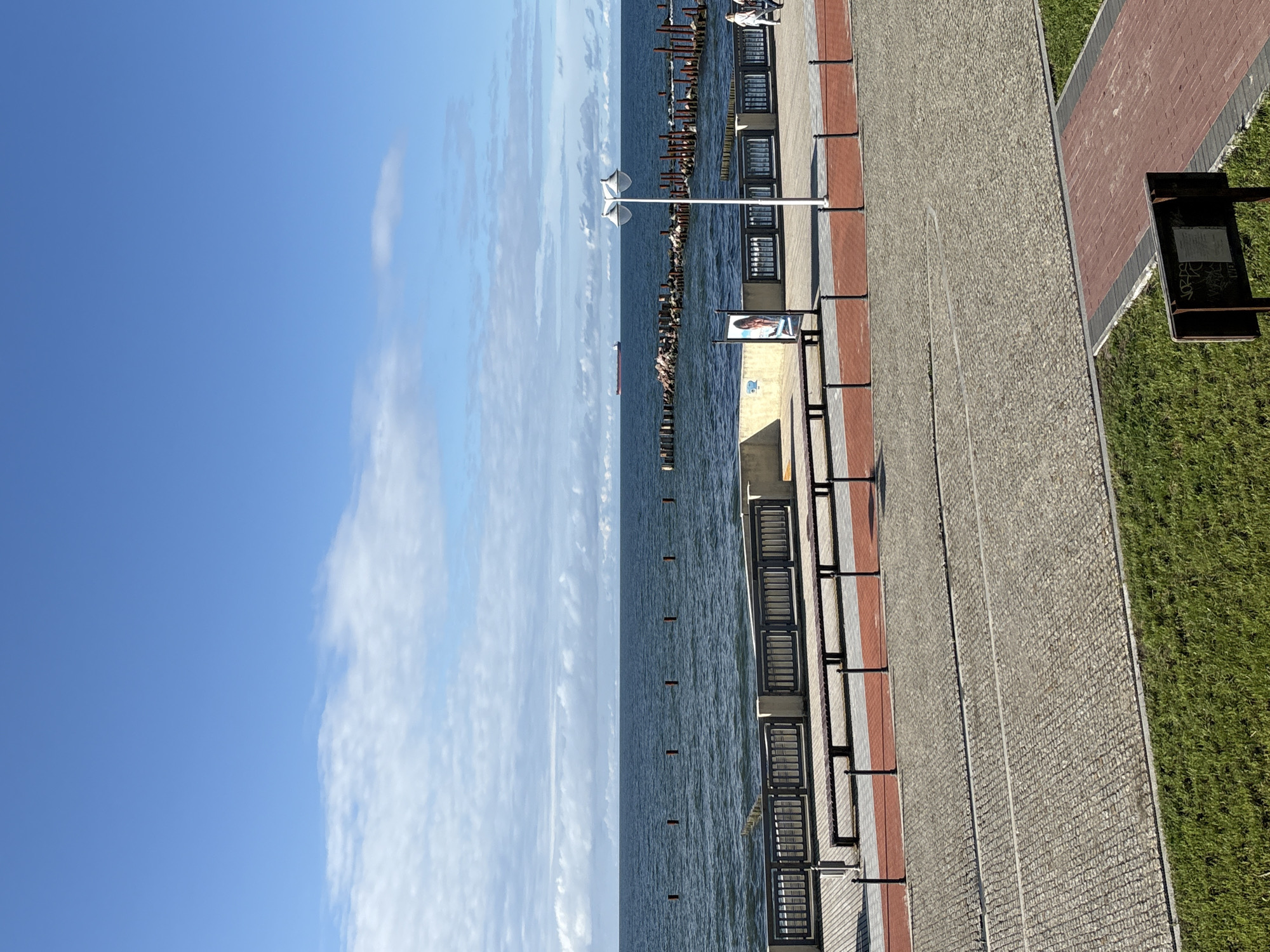 This is a vertical, eye-level, medium shot of a waterfront promenade in Svetlogorsk, Russia. The scene is divided into three main sections: the sky, the sea, and the promenade. The sky is a clear, bright blue with wispy white clouds stretching across it, suggesting a pleasant day. The sea is a calm, deep blue, with a few scattered wooden posts breaking the surface, indicating a breakwater or pier. In the distance, a red cargo ship is visible on the horizon.
The promenade itself is paved with light-colored cobblestones and bordered by a strip of red brick. Along the edge of the promenade, facing the sea, are several black metal benches with dark grey backs and seats. A lamppost with two white lamps stands between two sections of seating. Further along the promenade, a framed picture is displayed on a black stand, showing a close-up of a person's face. The promenade transitions into a strip of vibrant green grass on the right side of the image. A black sign, likely a menu or information board, is mounted on a post at the edge of the grass. The time of day appears to be mid-morning or afternoon, given the bright sunlight and clear sky. There is no discernable activity taking place, implying a moment of quiet observation.