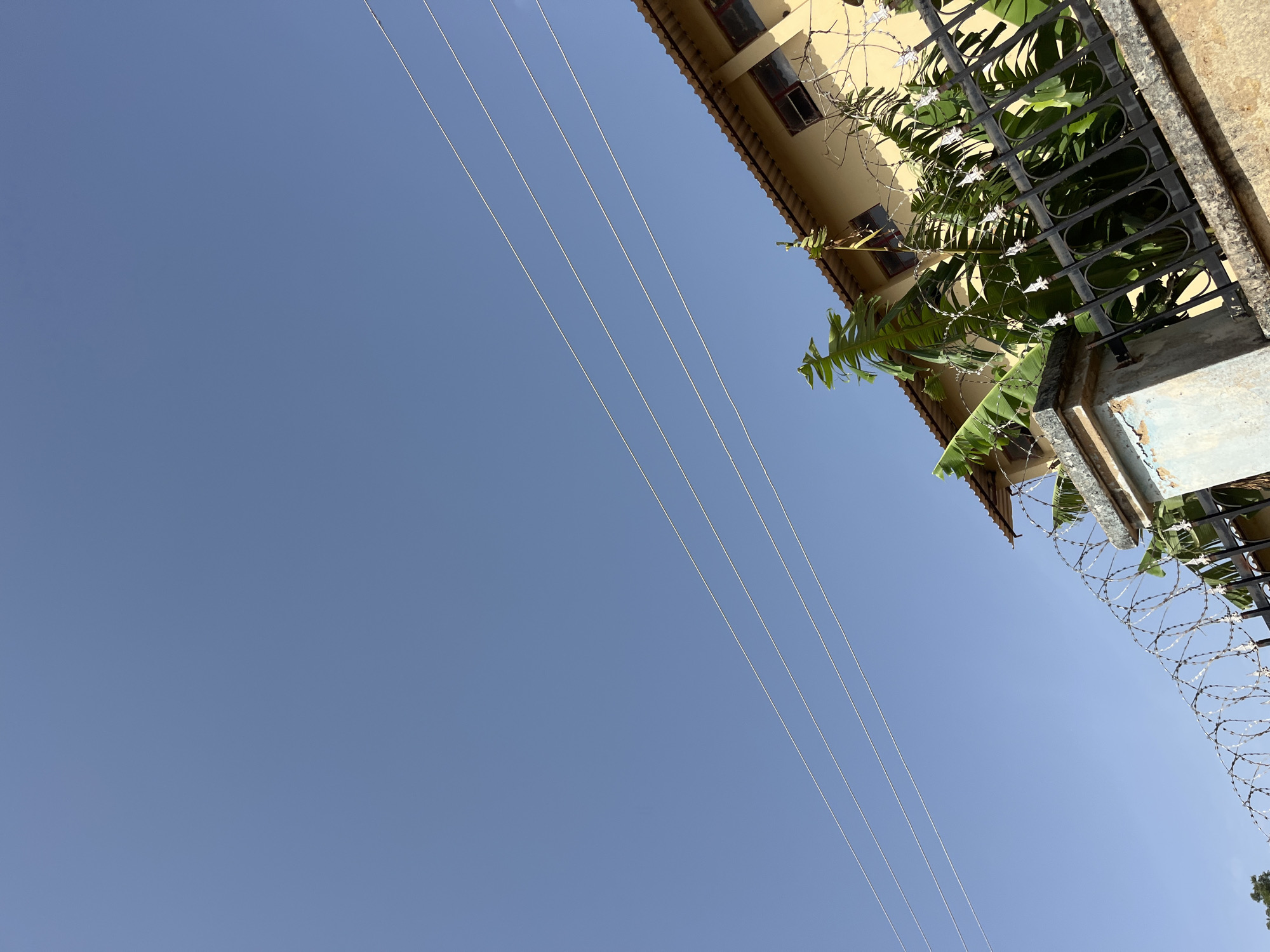 The image is an outdoor shot taken at an upward angle against a clear blue sky. In the foreground, there is a black metal fence topped with barbed wire. To the right, a light yellow building with a corrugated roof is visible. The building has several windows with red frames. Lush green banana leaves are interspersed with the fence and the building. There are also three thin white wires running diagonally across the sky from the lower left towards the upper right. The scene appears to be in Bukuru, Nigeria.