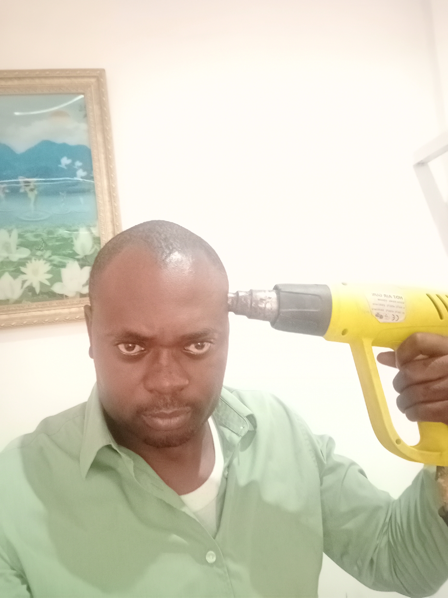 An adult man, likely of African descent, is depicted in a close-up, indoor shot. He has a dark complexion, a bald or closely shaved head, and is wearing a light green collared shirt over a white undershirt. His expression is intense and serious, with his eyes wide and direct.
The man is holding a yellow industrial-style heat gun with his right hand, positioning its metallic nozzle against his left temple, creating a visually striking and metaphorical gesture that could imply stress, frustration, or a deliberate, even humorous, pose. The heat gun has visible text on its side, which appears in reverse due to a mirror or reflection, showing "HOT AIR GUN" and some smaller, unreadable text along with what looks like a CE certification mark.
In the background, on a white wall, a framed picture is visible to the left of the man's head. The artwork within the gold-colored frame depicts a landscape with blue mountains, a body of water, and white water lilies or lotus flowers in the foreground. The lighting in the room is bright, illuminating the scene. The setting is an indoor environment, specifically Gwarinpa, Nigeria.