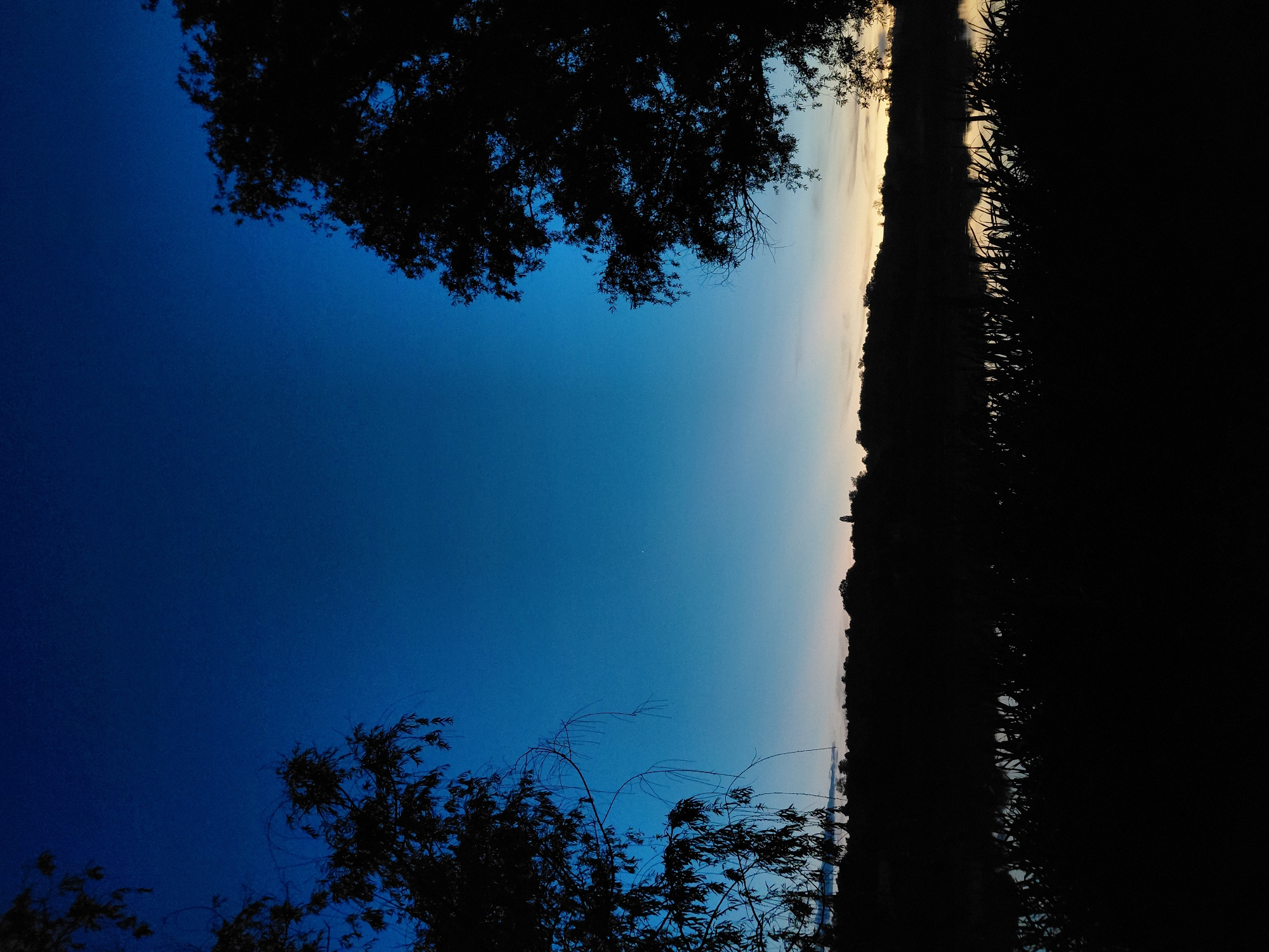 This media file captures a tranquil outdoor scene at dusk, likely in Ustyvytsia, Ukraine. The image is oriented vertically, with the sky occupying the left side and a silhouetted landscape on the right. A deep, gradient blue dominates the sky, transitioning to lighter hues of yellow and white near the horizon, indicating the fading light of sunset or the approaching dawn.
Framing the sky on the upper left are the dark silhouettes of tree branches and leaves, their intricate details visible against the vibrant sky. Similar foliage appears in the lower left quadrant, adding a sense of depth and natural beauty to the composition.
The right side of the image is filled with the stark, black silhouette of a dense treeline or thick vegetation that stretches along the horizon. This dark mass creates a strong contrast with the bright sky, emphasizing the transition between day and night. Subtle hints of light filtering through the foliage on the right suggest the presence of water or a distant landscape beyond the immediate foreground. A faint, light-colored streak on the horizon, possibly a distant structure or cloud formation, adds a point of interest.
The overall mood conveyed is one of peaceful solitude and the serene beauty of nature during a transitional time of day. There are no people or man-made objects prominently visible, focusing solely on the natural environment. The weather appears calm, with no indication of wind or precipitation. The time of day is clearly evident as either twilight or early morning.