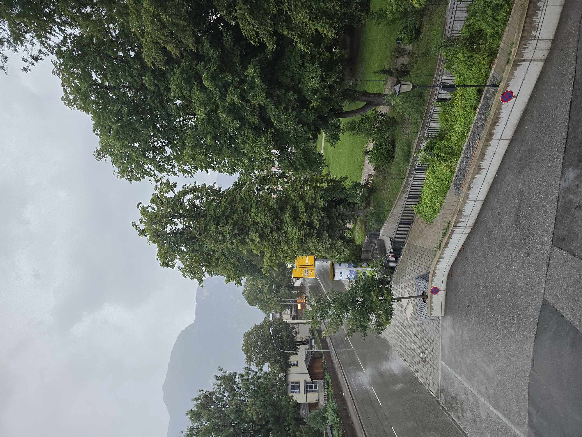 This is a medium-angle, slightly elevated shot of a street scene in Garmisch-Partenkirchen, Germany, on a cloudy or rainy day. The foreground shows a wet asphalt road and a paved pedestrian area with a tree planted in the middle, surrounded by a circular metal grate. A low concrete wall borders the pedestrian area, with a circular red and blue "no stopping" sign mounted on it. Beyond the wall, a green lawn stretches out, separated by a black metal fence. Mature trees with lush green foliage dominate the right side of the frame, casting shadows on the lawn.
To the left of the street, there are buildings with beige and white facades, some with visible windows and a small wooden shed. A yellow directional sign is visible on the street, indicating distances to nearby locations. The street itself is wet and reflects the overcast sky. In the background, a large, hazy mountain range is visible under a cloudy sky. The overall impression is a quiet, somewhat damp, urban park or street setting with a natural mountainous backdrop. No people are visible in the scene.