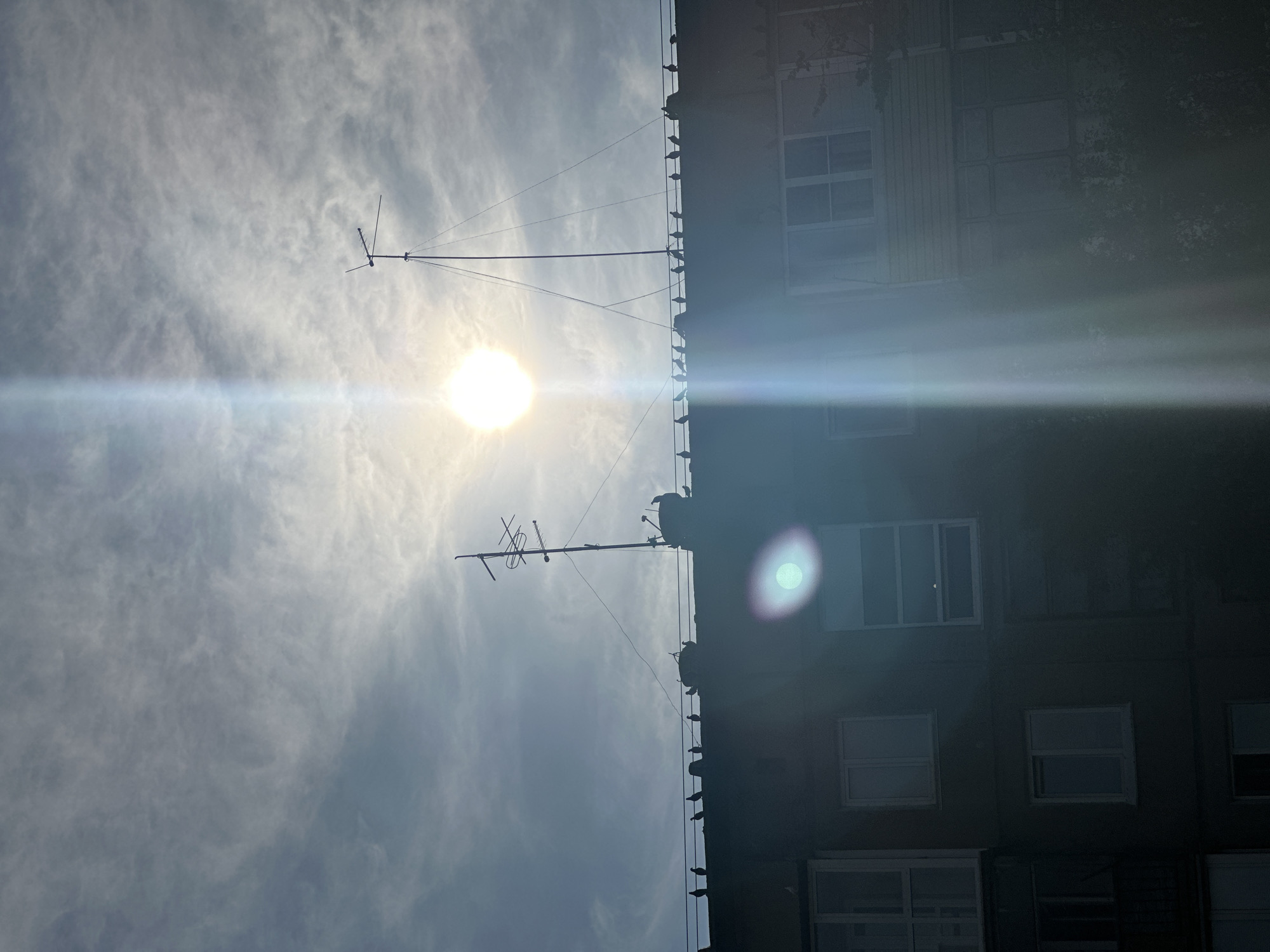 The image shows the top of a multi-story building in Novoaltaysk, Russia. Pigeons are perched on the rooftop. Two antennas are visible on the roof, one taller than the other. The sun is shining brightly in the sky, causing lens flare that creates vertical streaks of light across the image. The sky is partly cloudy with wispy clouds. The building has several windows, some of which appear to be balconies. The overall scene suggests a residential area under a bright, sunny sky.