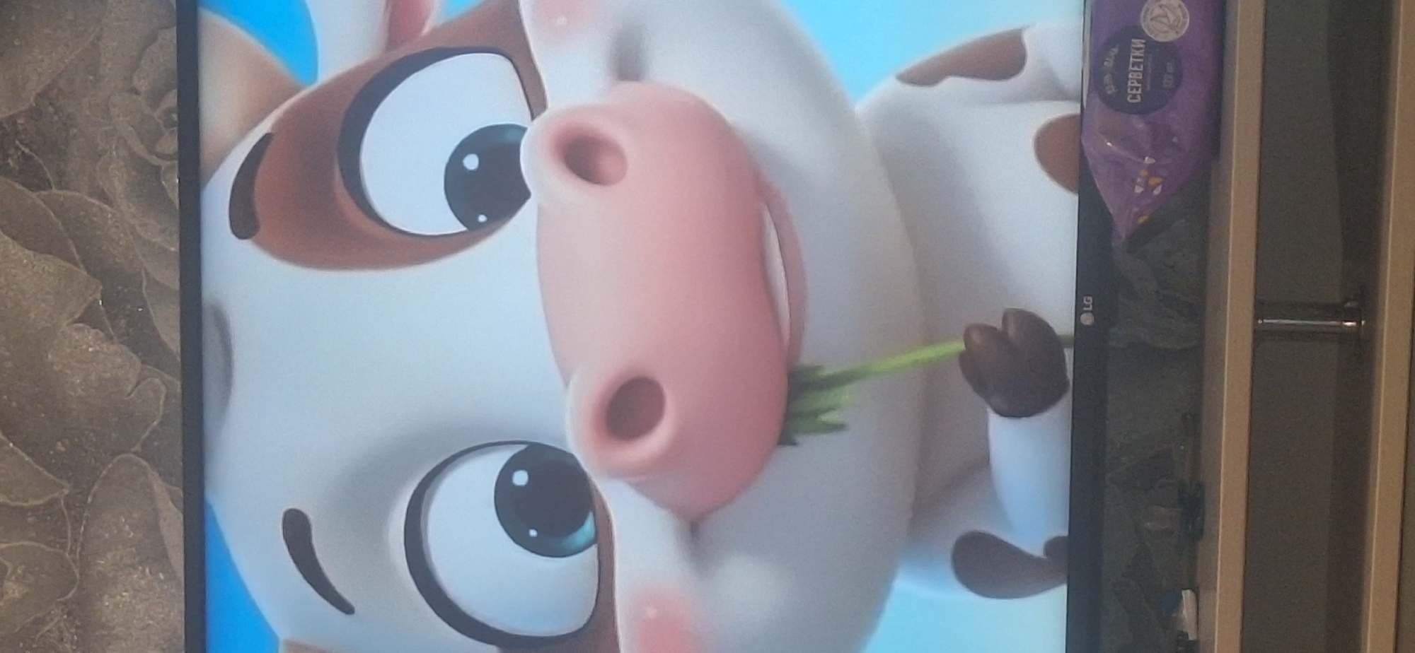 A cartoon cow is shown up close, with its mouth open, chewing on a blade of grass. The cow has large, expressive eyes, a pink nose, and brown spots on its white face and body. The background is a light blue. The cow is positioned on a television screen, and the lower portion of the image shows the top of a television stand with a package of wet wipes labeled in Cyrillic. The environment is indoor, likely a living room or entertainment area. There is no information to suggest this scene is located in Bila Tserkva, Ukraine.