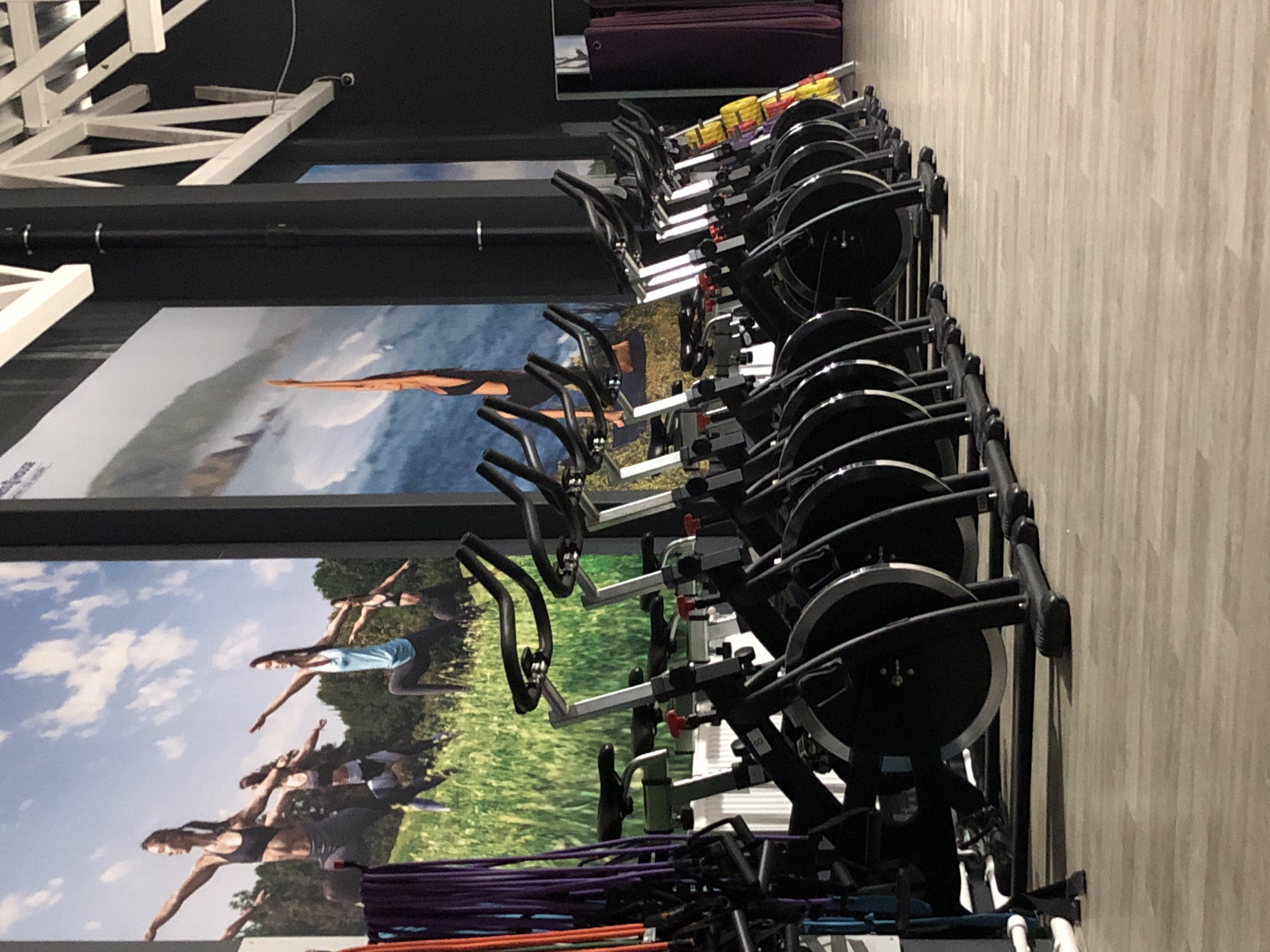 The image shows a row of stationary exercise bikes in what appears to be a fitness studio. The bikes are black and silver with red accents. Behind the bikes, a large mural covers the wall, depicting several women in yoga poses in a grassy, outdoor setting with a blue sky and clouds. To the right of the mural, there is a section of dark wall with what looks like architectural beams overhead. Further to the right, there are dark purple curtains. The floor is a light wood laminate. The image is a full-body, eye-level shot of the exercise bikes and the mural. There are no people visibly present in the immediate foreground or actively engaged in activities. The scene is static and composed. This image is not located in Saint Petersburg, Russia.