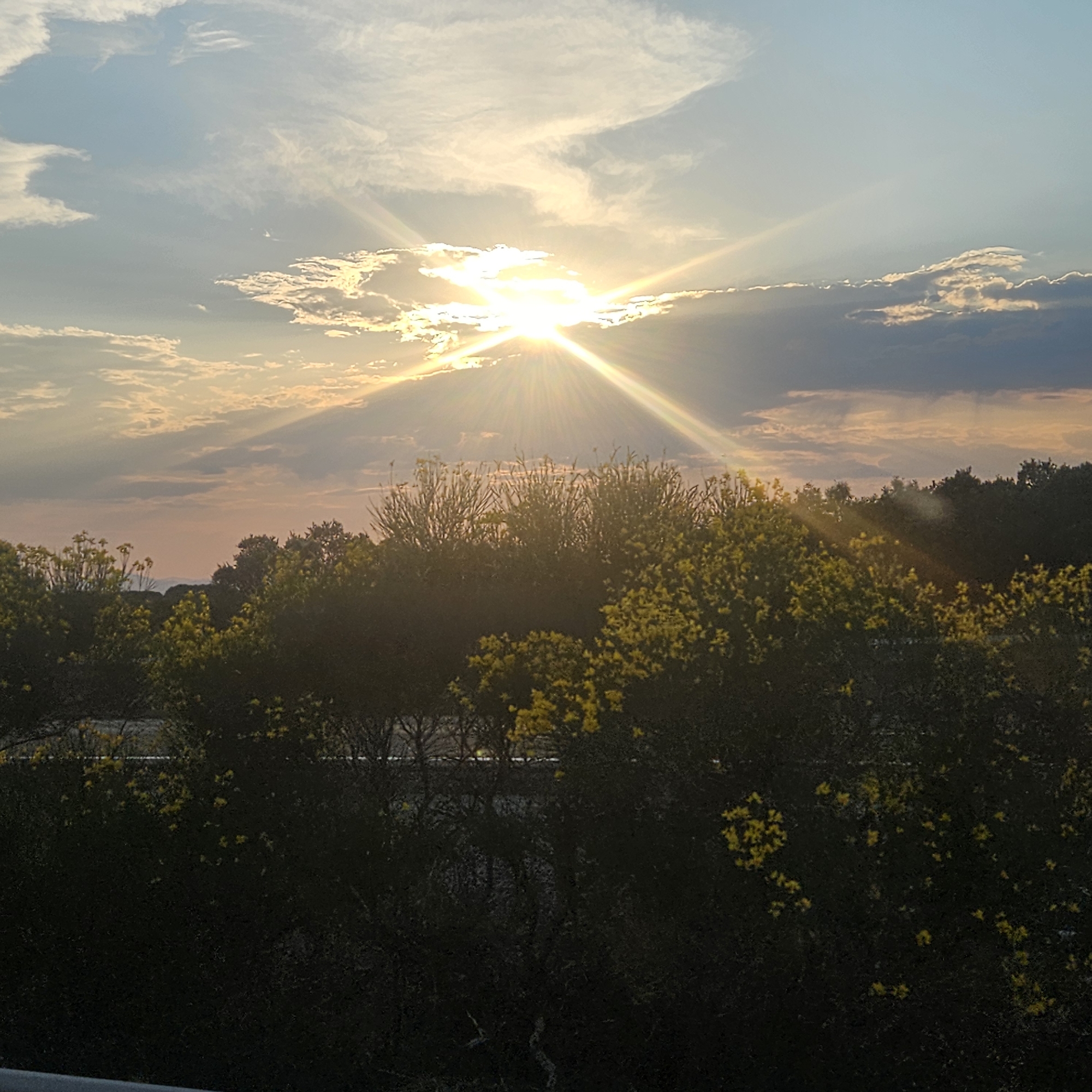 The image shows a sunset scene over a rural landscape. The sun is low in the sky, with bright rays of light streaming through the clouds. In the foreground, there is a dense line of trees and vegetation, some of which are dotted with small yellow flowers. The background is a dark silhouette of more trees, with a hint of distant hills or mountains. The sky is a gradient of blues, whites, and oranges, typical of a sunset. There are no people or specific structures visible that would indicate a precise location within Saúca, Spain, beyond it being an outdoor, natural setting during the evening. The overall impression is one of natural beauty and tranquility.