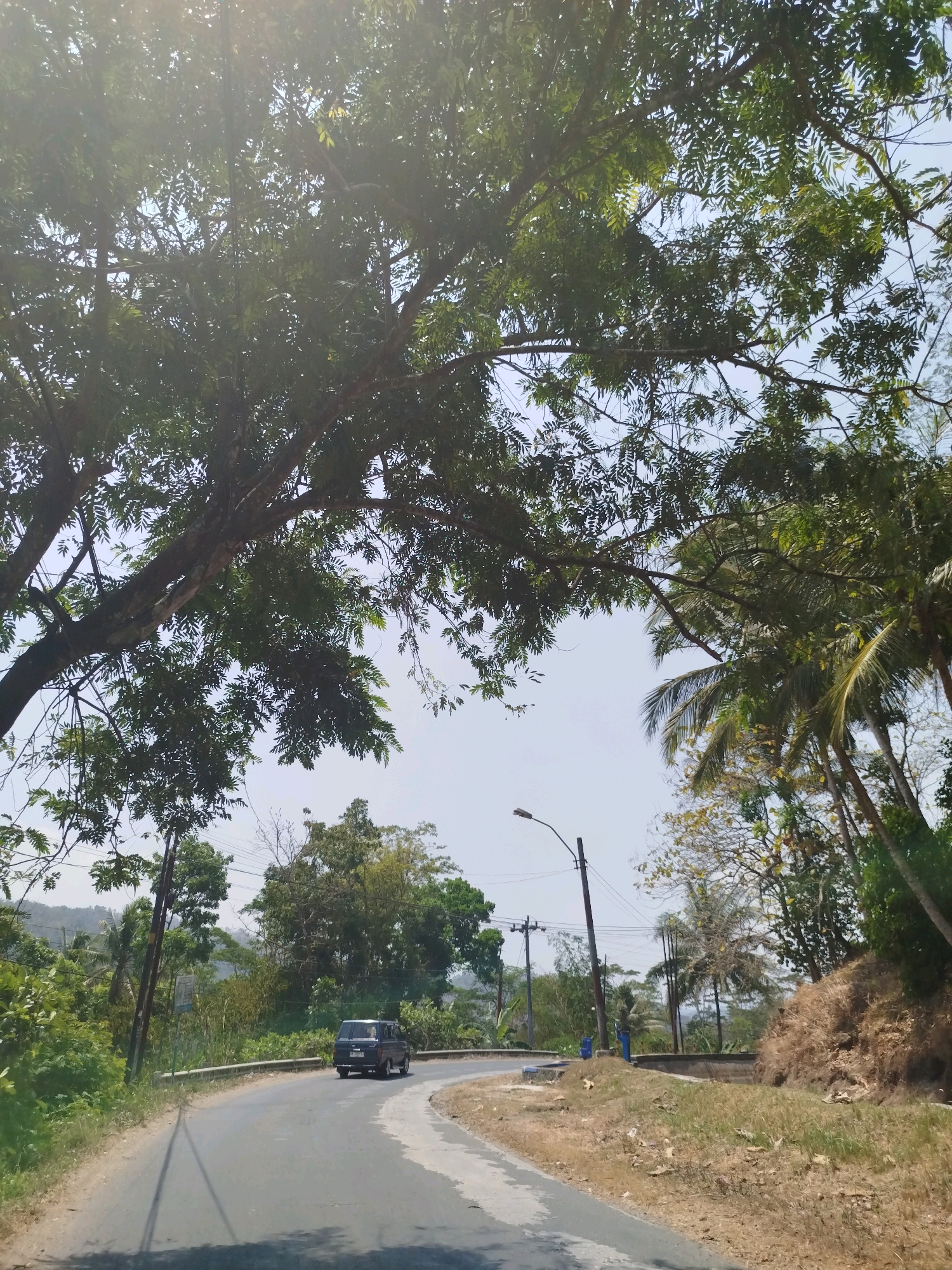 The image depicts a rural road winding through a green, hilly landscape. A dark-colored van is driving away from the viewer on the asphalt road, which has a white line marking its center and edge. The road is flanked by vegetation, with lush green trees and bushes lining both sides. In the foreground, large trees with dense foliage overhang the road, casting shadows and creating a canopy effect. On the right side of the road, a dry, grassy embankment rises steeply, dotted with fallen leaves and dried grass. In the background, more trees and vegetation cover the rolling hills under a clear, bright sky. A lamppost stands on the right side of the road near the embankment, and utility poles with wires are visible further down the road. The scene appears to be in a tropical or subtropical region, likely in the afternoon given the bright sunlight and shadows. The image captures a sense of journey and natural beauty. The location is identified as Kutosari, Indonesia, suggesting a characteristic Indonesian rural road scene.
