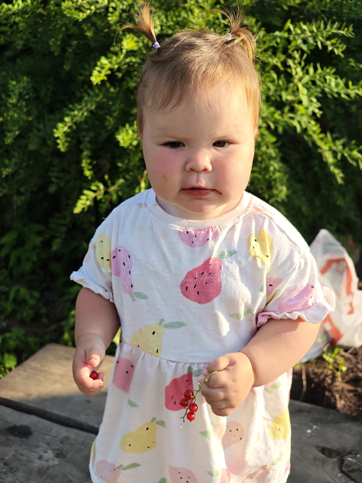 The image shows a young child with light brown hair styled in two pigtails, wearing a white dress with a fruit pattern. The child is holding a small red berry in their left hand and a sprig of red currants in their right hand. They are standing outdoors in what appears to be a garden or yard, with lush green foliage in the background. A wooden surface is visible in the foreground. The lighting suggests it is daytime. The child's expression is neutral. There are no visible landmarks or contextual clues that would specifically place this image in the city of Bolshoy Bukor, Russia.
