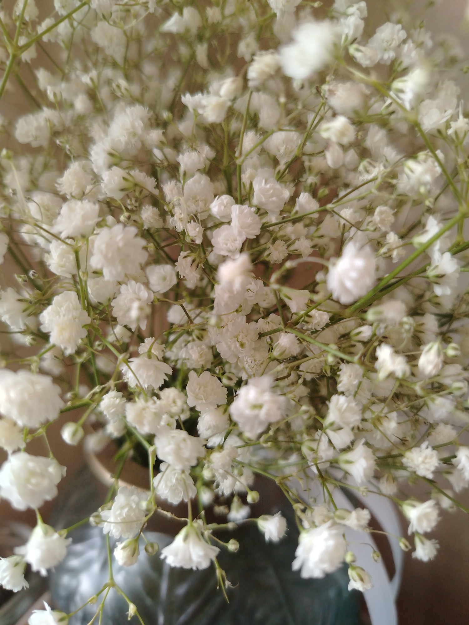 A close-up, top-down shot shows a dense bouquet of baby's breath flowers in an unseen vase. The tiny white blossoms are densely packed, with thin green stems visible between them. The composition is tightly focused, obscuring the background.