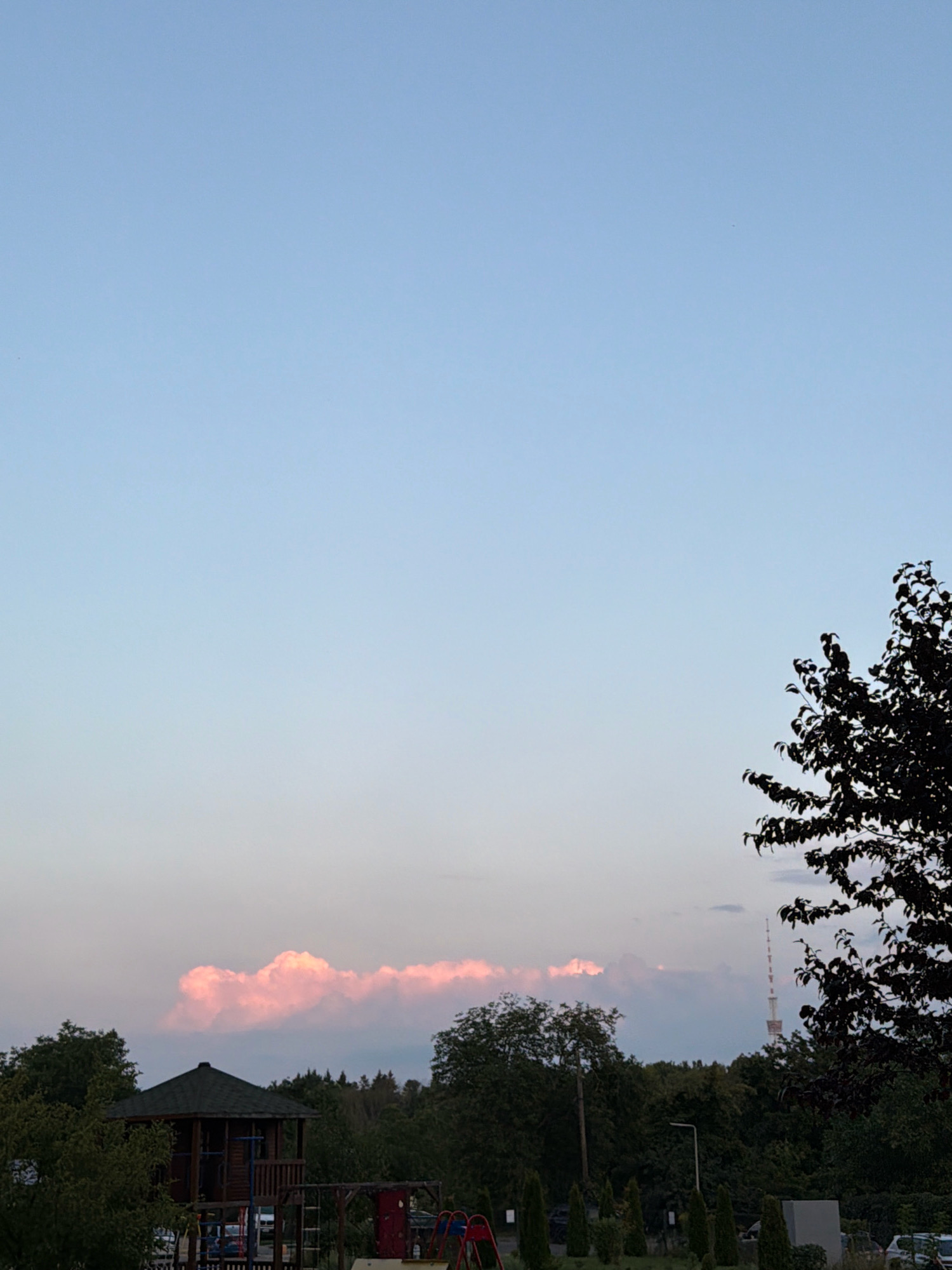 The image depicts a suburban or park-like setting with a clear, pale blue sky. In the mid-ground, a line of pink-tinged clouds stretches across the horizon, suggesting either sunrise or sunset. Below the clouds, a dense band of green trees forms a natural backdrop, with a small, dark-roofed wooden structure that appears to be a playhouse or gazebo situated on the left side. To the right of the playhouse, a portion of a red children's playground structure is visible. In the distance, a tall, slender radio or television tower is prominent against the sky, a characteristic landmark of Kyiv. Silhouetted against the sky on the far right is a dark, leafy tree. The overall scene conveys a sense of calm and natural beauty, possibly in a residential area on the outskirts of Kyiv.