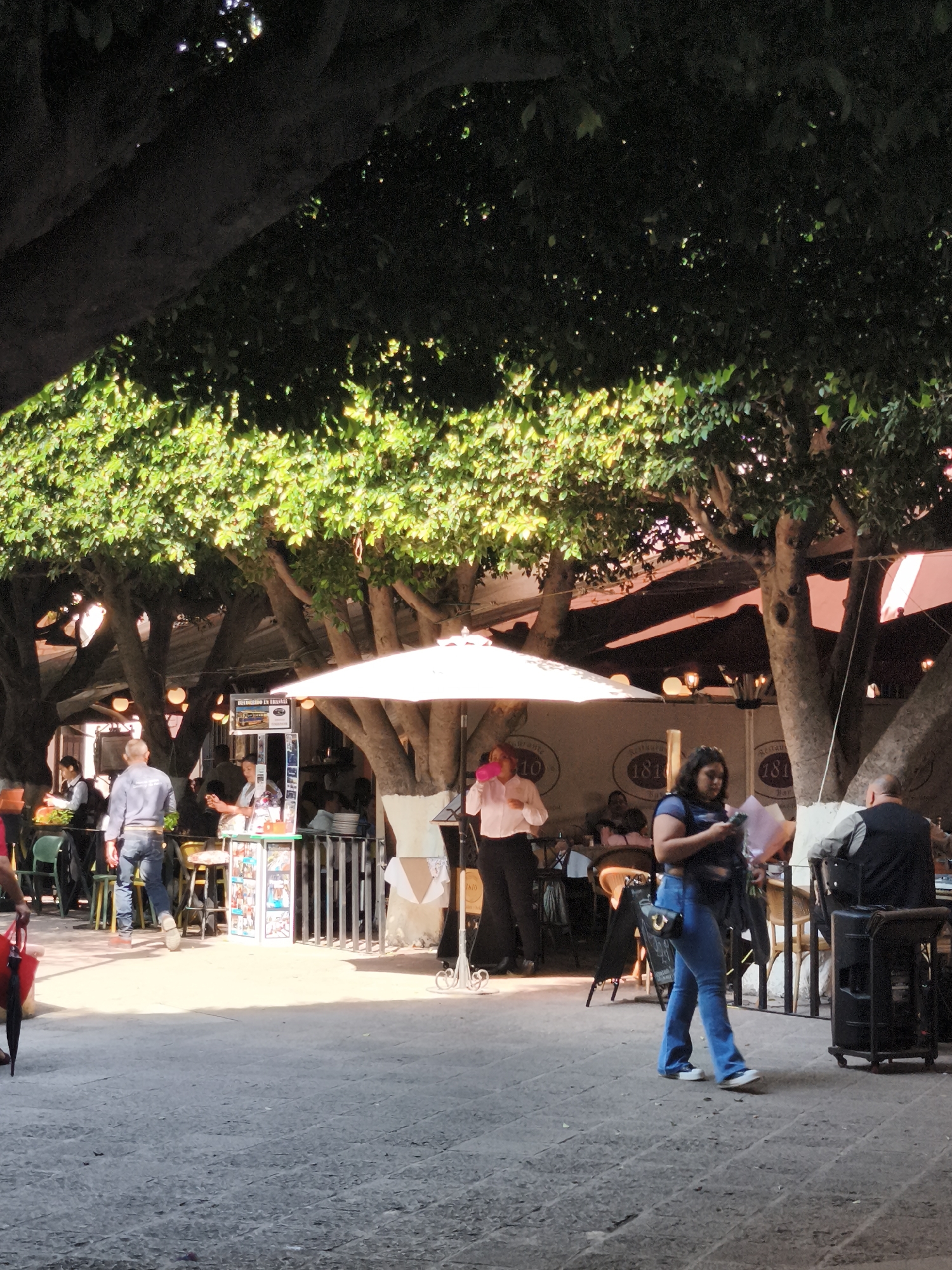The image depicts an outdoor scene in what appears to be a plaza or public space in the city of Querétaro, Mexico. The setting is under the shade of large trees, creating a mix of light and shadow. Several people are present, including pedestrians and patrons of a restaurant.
In the foreground, a woman in jeans and a dark top is walking while looking at her phone. To the left, a man in a light-colored shirt and jeans is walking towards the restaurant area.
The restaurant area is defined by white fences and umbrellas that provide shade for the tables and diners. A waiter in a white shirt and dark pants is standing near a table. There are multiple people seated at tables in the restaurant area, some of whom are obscured by the fencing and trees.
The environment includes a stone-paved ground, typical of plazas in Mexican cities. In the background, there is a sign with the number "1810" visible, which may indicate a historical landmark or a business name. The trees overhead are full and leafy, providing a dense canopy.