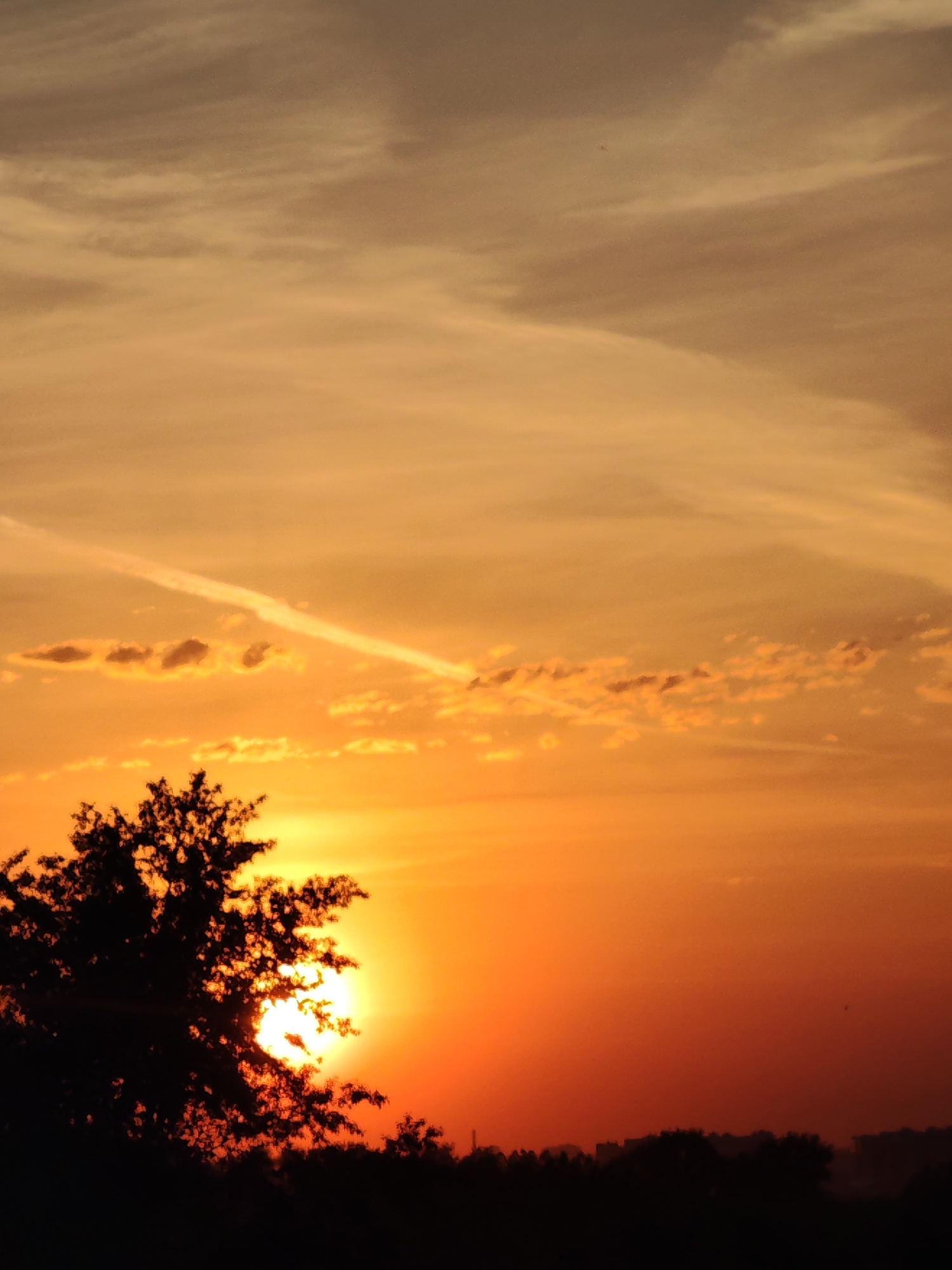 The image depicts a sunset over Podolsk, Russia. A silhouette of trees is visible in the foreground, with the sun partially obscured by the foliage. The sky transitions from a bright orange near the horizon to a pale orange with light clouds overhead. A contrail is visible in the upper-middle portion of the sky.