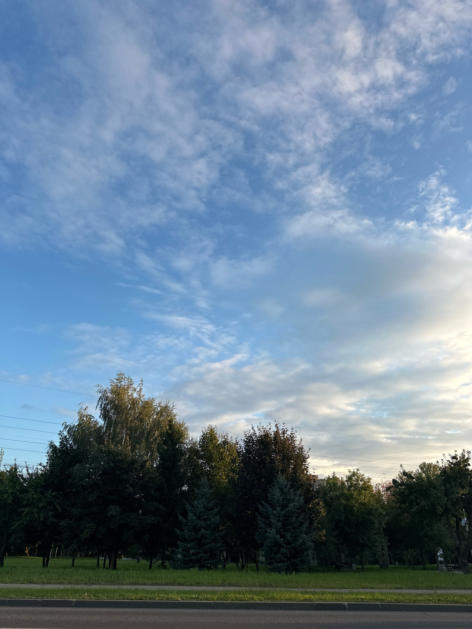 This is a low-angle, medium shot of a park area in Minsk, Belarus, with a road in the foreground. The sky is a vibrant blue, filled with scattered, wispy white clouds. The sun appears to be setting, casting a warm glow on the horizon.
In the mid-ground, a dense line of trees forms a natural barrier. Some trees are tall and deciduous, with dark green foliage, while others are evergreen conifers, such as the blue spruce visible on the left side of the frame. The trees are situated on a well-maintained grassy area.
Further back, behind the trees, hints of buildings can be seen, suggesting an urban setting. Utility lines are also visible stretching across the upper portion of the image, above the trees.
The foreground features a paved road with a distinct curb and a shoulder, indicating a public thoroughfare adjacent to the park. There are no people or animals visible in the frame. The overall impression is one of a peaceful, late afternoon or early evening scene in a city park.