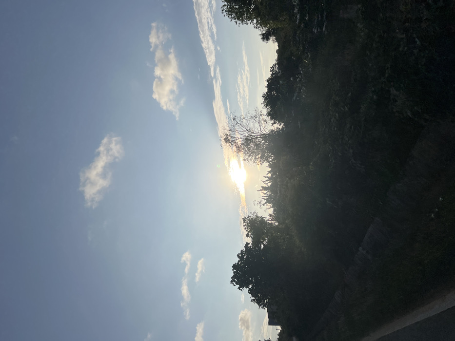 This outdoor scene, located in Ea Ksô, Vietnam, depicts a landscape under a clear blue sky with scattered white cumulus clouds. The sun is prominently positioned slightly above the central horizon, emitting intense light that creates a strong lens flare with visible spectral highlights and partially obscures visibility through atmospheric haze. This illumination backlights and heavily silhouettes a dense band of varied foliage, including trees and plants with broad, banana-like leaves, occupying the midground. The foreground on the left features a section of paved road or path with a white edge line, adjacent to a narrow, dark drainage ditch. Beyond the ditch is a slight incline of earth covered with low-lying vegetation. A faint, dark outline of a building or structure is discernible in the distant upper left, behind the silhouetted trees. No people, animals, or active subjects are visible.