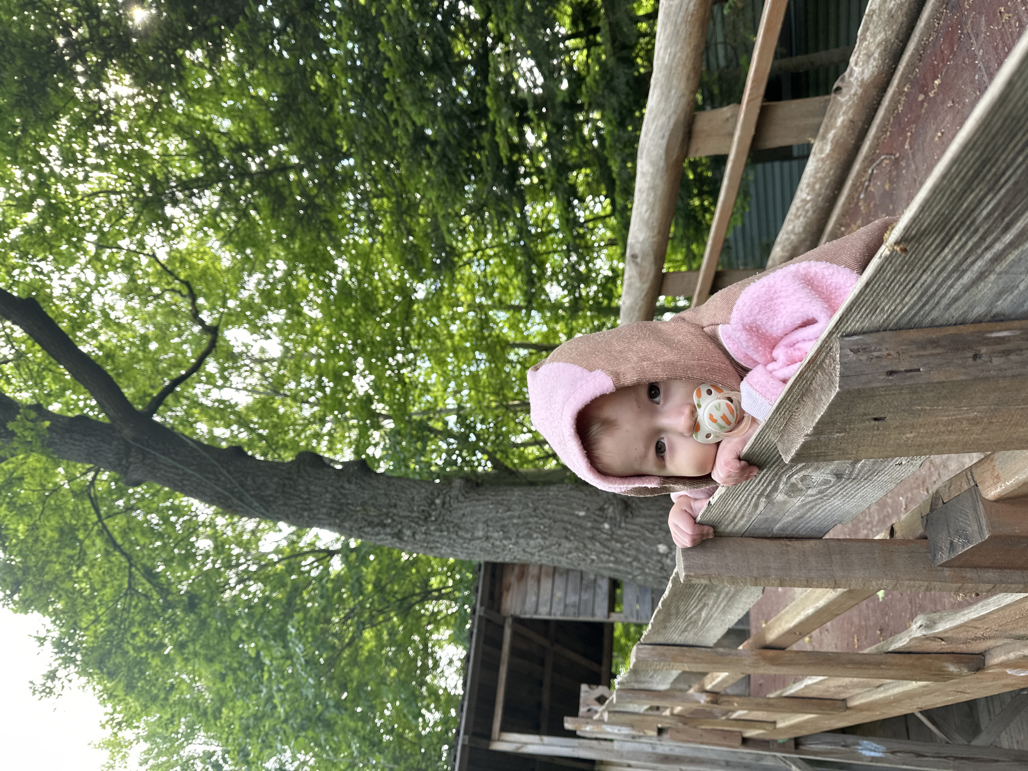 A baby in a pink and brown hooded outfit is peering over a wooden fence or railing. The baby has a pacifier in their mouth and is holding onto the wood. Behind the fence is a tree with green leaves and a small wooden structure that appears to be a treehouse. The scene is outdoors. There is no indication of the location being Nizhny Novgorod, Russia.