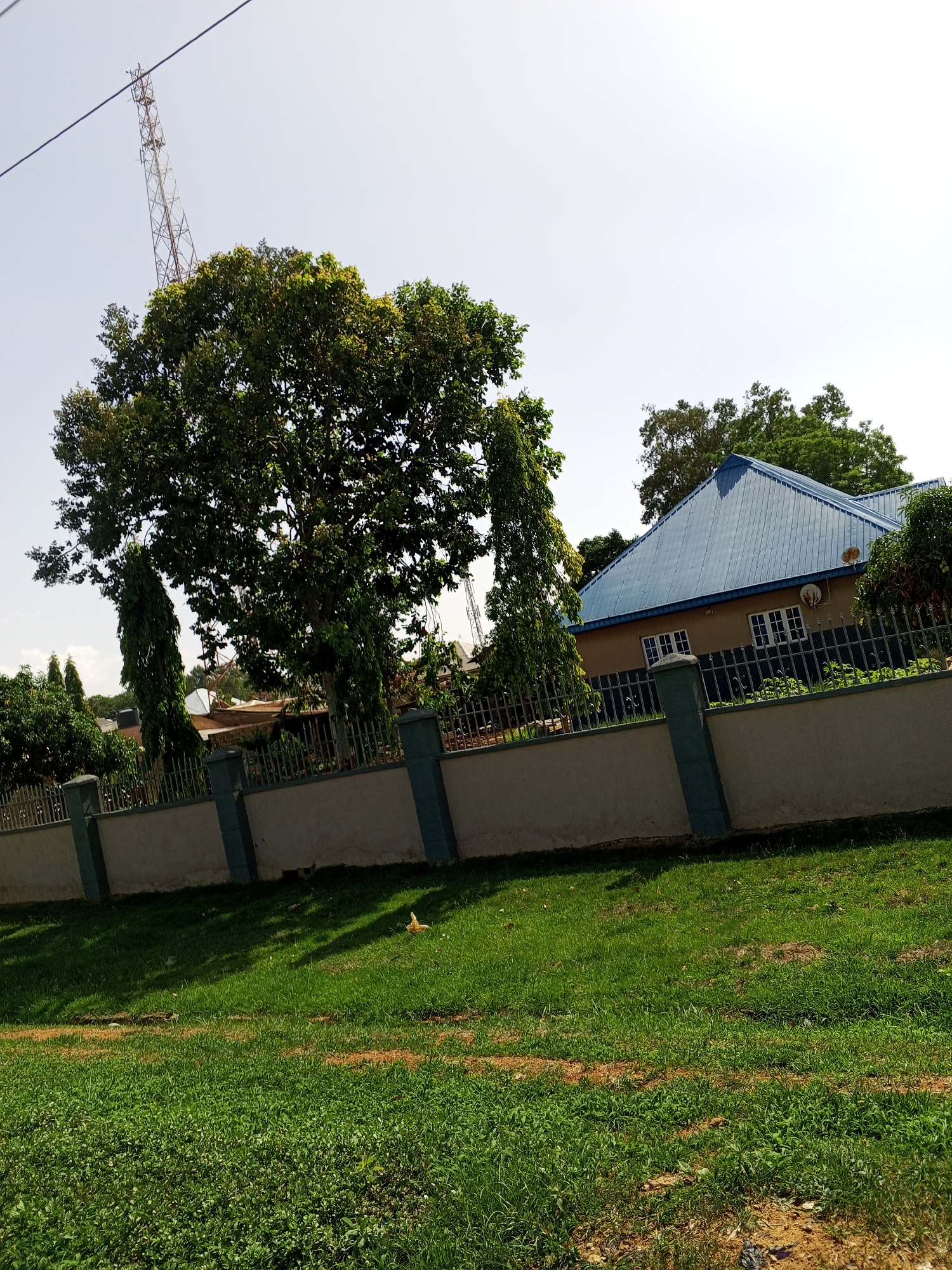 The image depicts a residential scene in Bukuru, Nigeria. The foreground features a lawn with varying shades of green. Behind the lawn is a fence with gray panels and blue posts. A large tree with dense foliage partially obscures a house with a blue roof. The house has white-framed windows and an antenna is attached. In the distance, a tall communication tower is visible against a light blue sky.