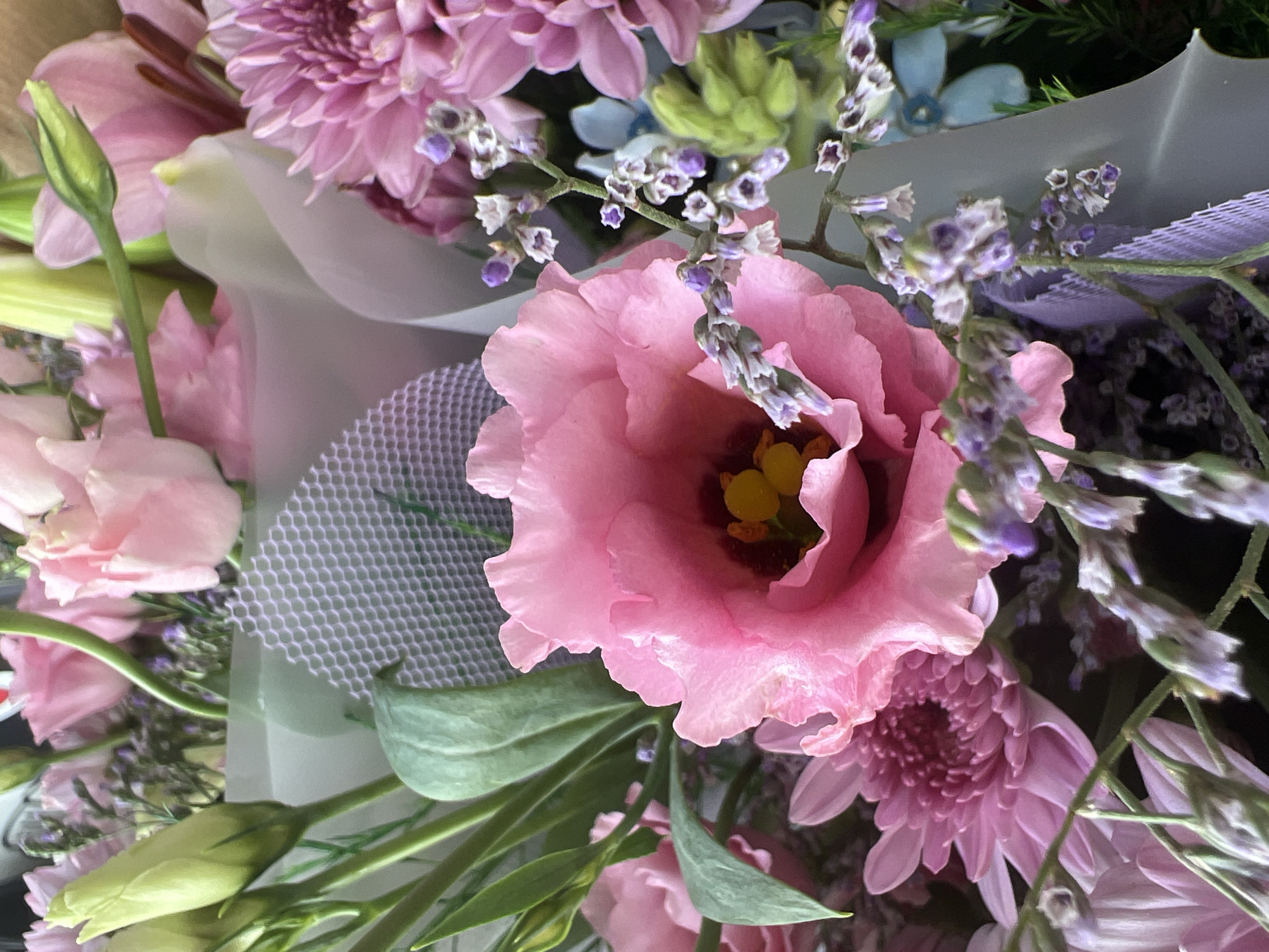 A close-up, eye-level shot captures a bouquet of various pink and purple flowers. The central focus is a large, open pink lisianthus bloom with delicate, ruffled petals and yellow stamens visible in its center. To the left, a light green lisianthus bud is tightly closed. Flanking the lisianthus are several pink chrysanthemums with dense, layered petals. Smaller sprays of purple statice flowers with tiny blooms are interspersed throughout the bouquet, adding texture and a lighter color contrast. Green leaves and stems are visible, providing a backdrop and structure to the arrangement. The bouquet appears to be wrapped in light grey and white paper, with a portion of a purple ribbon visible near the bottom right. The background is dark and blurred, suggesting an indoor setting. There is no discernible location in the city of Hadera, Israel.