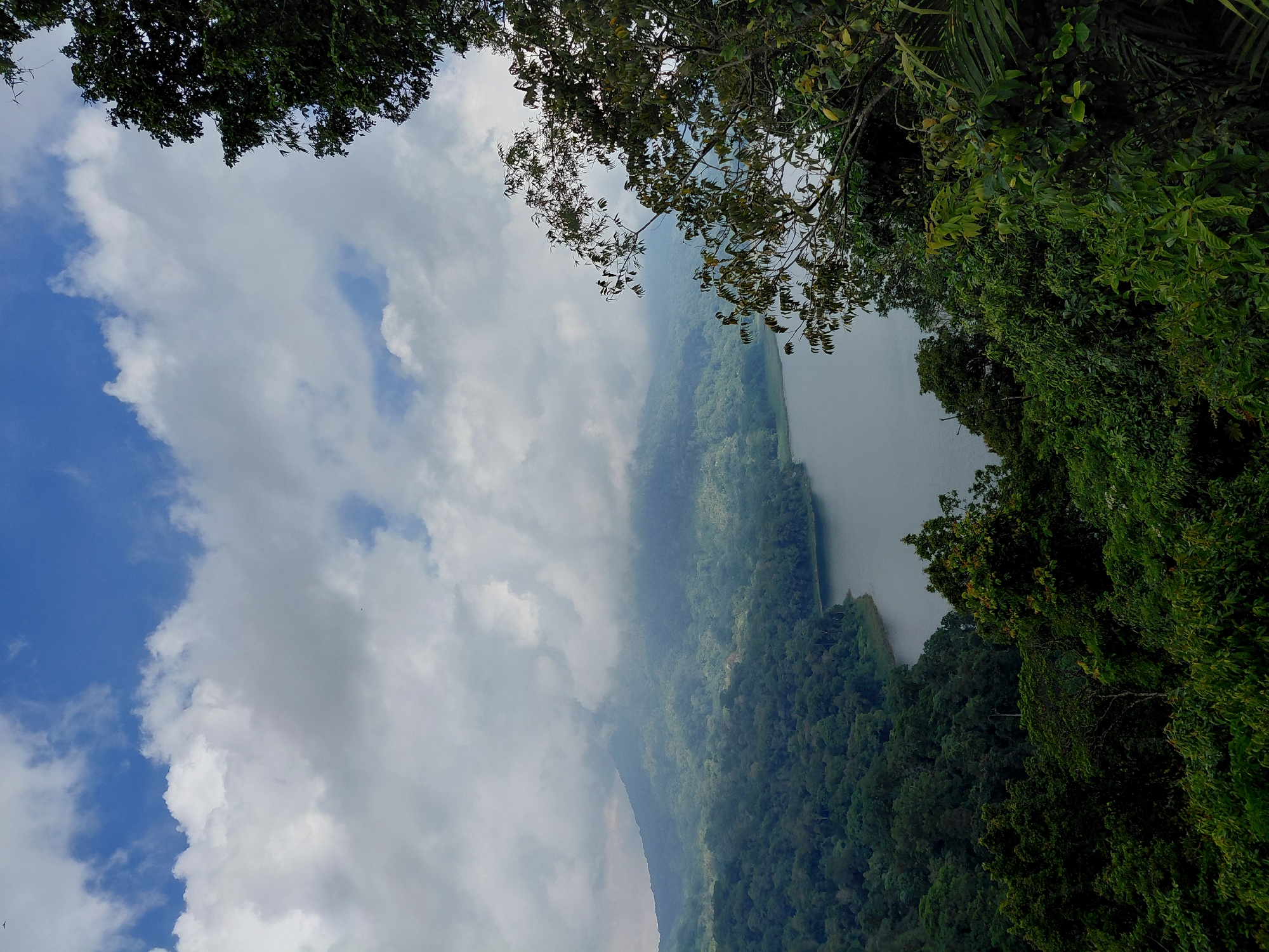A high-angle shot captures a tranquil, lush landscape under a partly cloudy sky. In the foreground, dense green foliage from trees and plants frames the scene, with branches and leaves extending into the frame from the right. Beyond the foliage lies a serene, calm body of water, likely a lake, its surface reflecting the muted light. The water curves gently along the edge of a densely forested hillside that rises in the mid-ground. This hillside is covered in a rich tapestry of varying shades of green trees. In the background, a large, mist-shrouded mountain peak dominates the horizon, its summit obscured by clouds. The sky above is a blend of bright blue patches and large, soft white and grey clouds, suggesting a temperate or humid climate. The overall atmosphere is one of natural beauty and peacefulness. This scene depicts Lake Buyan in the Banjar area of Bali, Indonesia. There are no people or animals visible in the image.