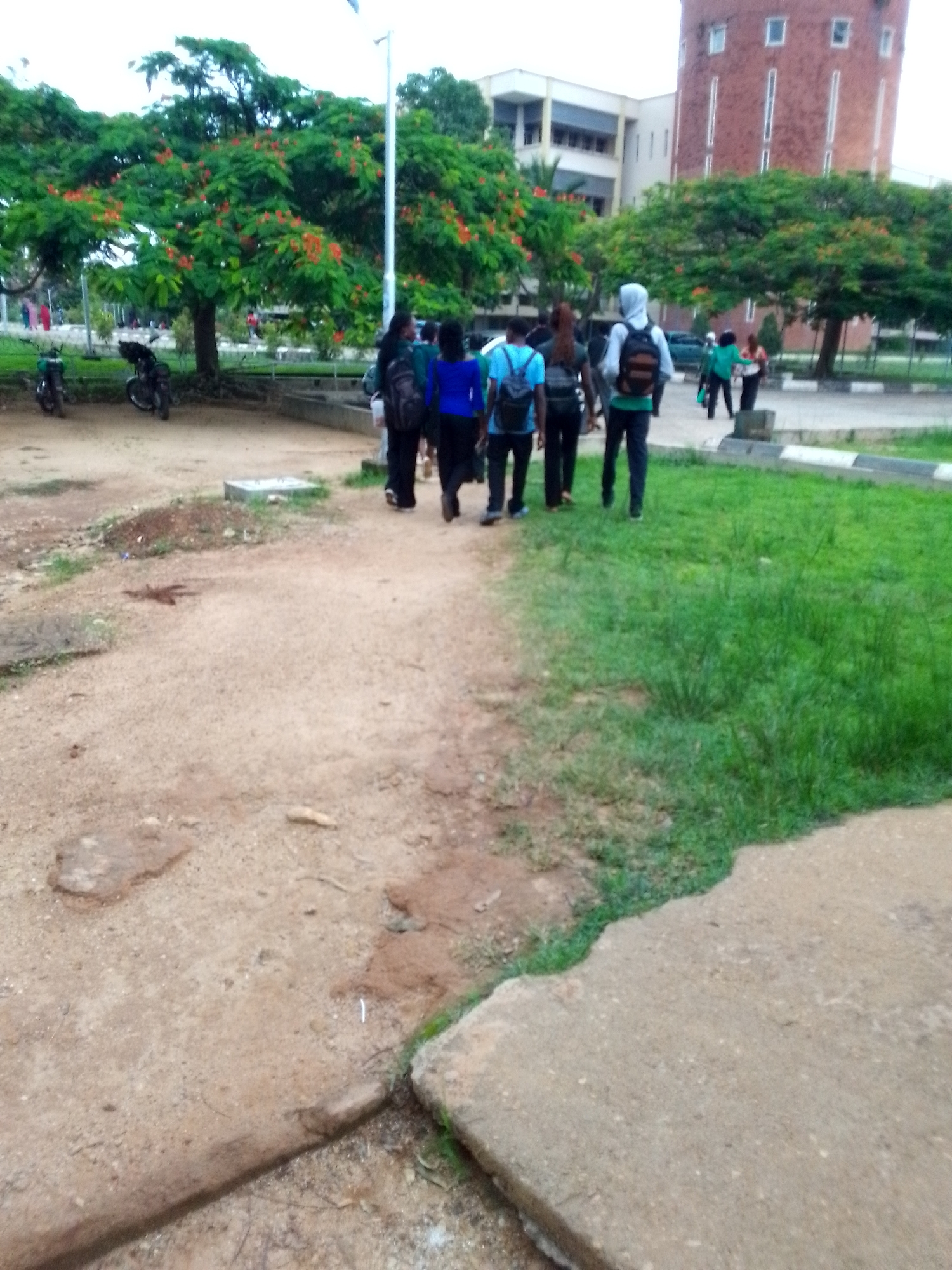 In the city of Unknown, Unknown, a group of five young people, appearing to be students, walk away from the camera on a dirt path next to a grassy area. The individuals are dressed casually, with four of them wearing backpacks. The person in the lead on the right wears a white hooded sweatshirt and a brown backpack. To their left, a person in a blue shirt and a black backpack walks in the same direction. Further to the left, two individuals in dark clothing and backpacks walk side by side. The person on the far left appears to be wearing a blue shirt and a black backpack. In the background, lush green trees with red blossoms are visible, along with a brick building and another lighter-colored building. A tall brick tower with rectangular windows stands prominently to the right of the frame. The ground is a mixture of dirt and concrete, with some patches of dry leaves and small stones. Two motorcycles are parked in the background on the left side of the frame. The scene appears to be a campus or park setting.