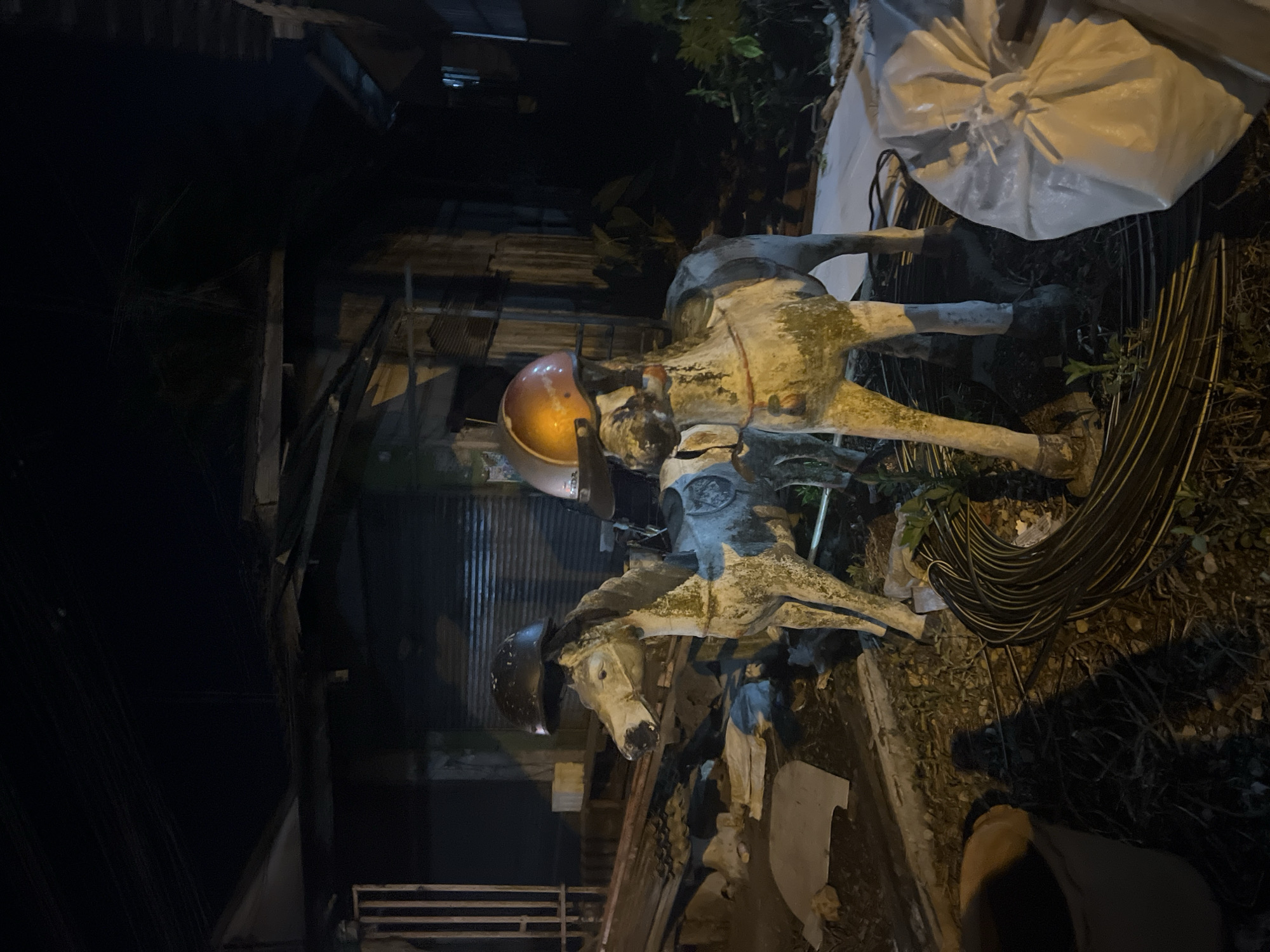 In Thung Tako, Thailand, two weathered, white, horse-shaped statues stand in a dimly lit, outdoor environment. Each statue is adorned with a different colored helmet atop its head: one black, and the other orange and yellow. The statue on the left faces left, while the statue on the right faces forward. They are positioned amidst debris, including what appears to be corrugated metal sheets and rebar coiled on the ground. In the foreground, a large, white, plastic bag is visible on the right side of the image. The background suggests a building with a corrugated metal roof and shutters. The scene is captured at night, indicated by the darkness and the illumination provided by artificial light sources, casting shadows.