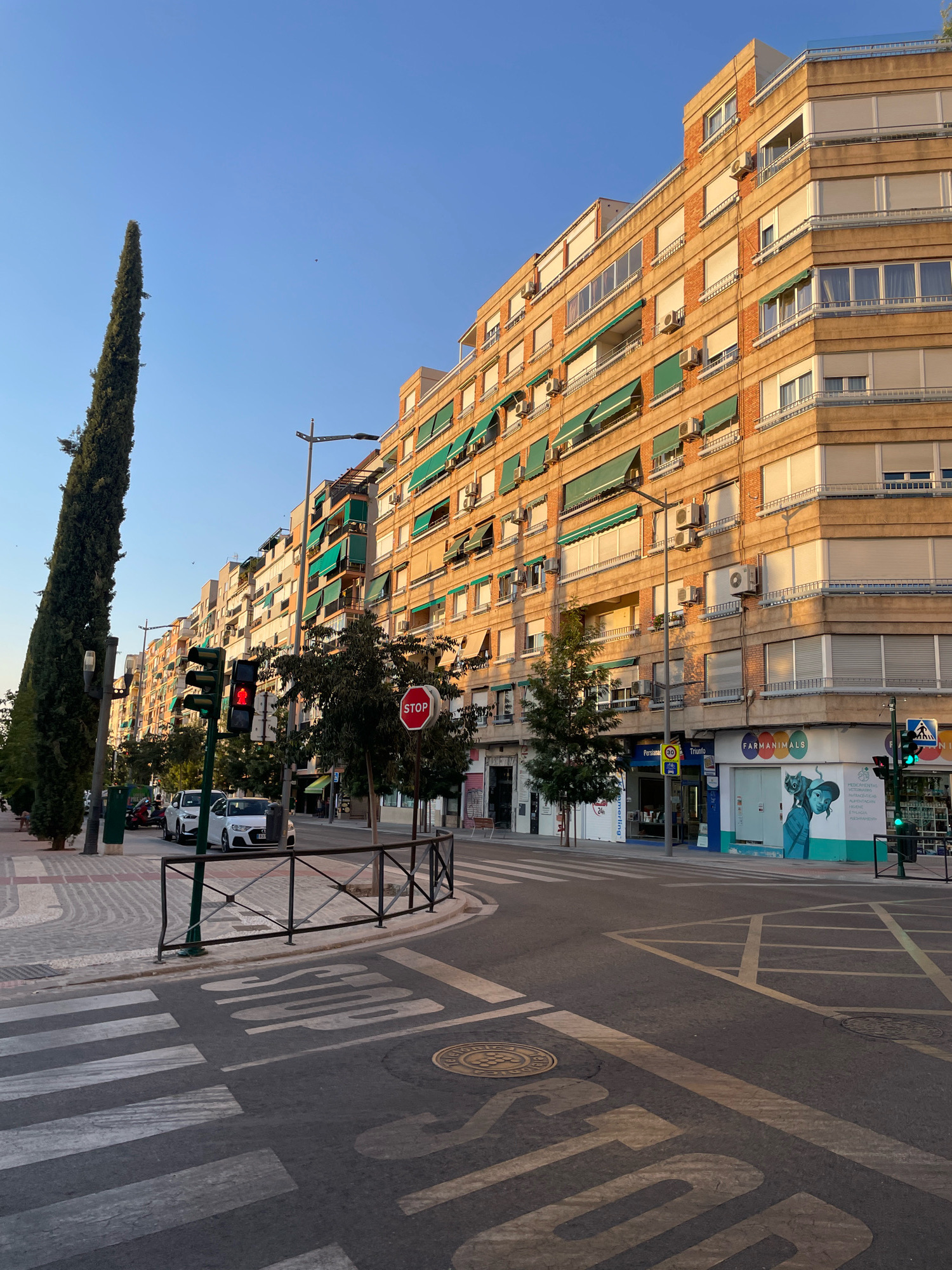 The image depicts a street scene in Granada, Spain, captured during daylight. A large, multi-story apartment building with a tan facade and numerous balconies with green awnings dominates the right side of the frame. Air conditioning units are visible on the building's exterior. A tall, slender cypress tree stands to the left of the building, casting a shadow on the sidewalk. A pedestrian crossing with white stripes is painted on the asphalt road, with the word "STOP" stenciled on the road surface. Traffic lights are present, with a red light illuminated, indicating a stop signal for vehicles. Several cars are parked or stopped near the crossing. A red octagonal stop sign is also visible. The sky is clear and blue, with no clouds. The street appears to be in a residential or mixed-use area, with shops visible on the ground floor of the apartment building. The overall atmosphere is that of a typical urban environment.