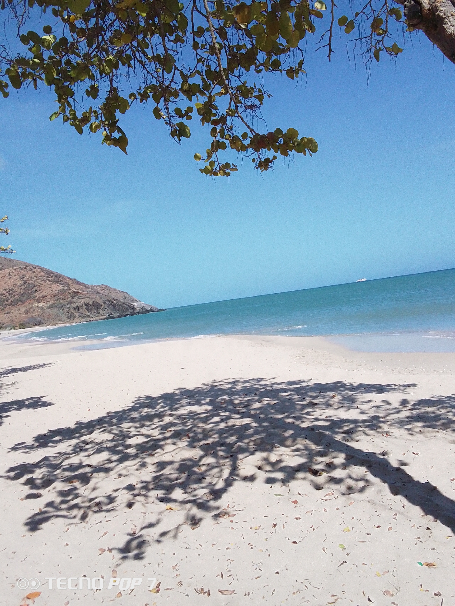 The image captures a beach scene in Pedro González, Venezuela. The foreground shows a white sand beach covered in shadows cast by tree branches. A mountain range rises at the left end of the beach. The water is a clear, turquoise blue, with a light-colored ship visible on the horizon. Overhead, a tree canopy is seen against the blue sky. The photograph appears to have been taken in direct sunlight, creating sharp contrast between light and shadow.